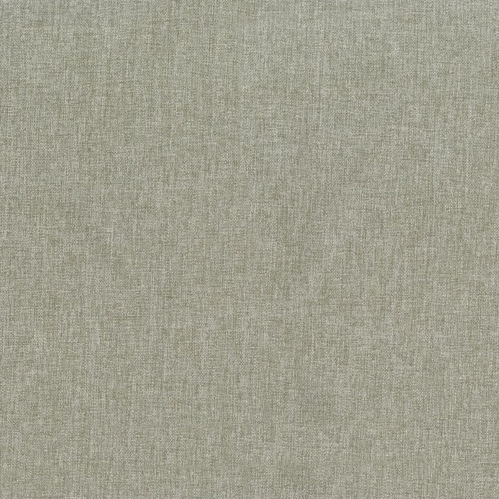 Asher – Fawn