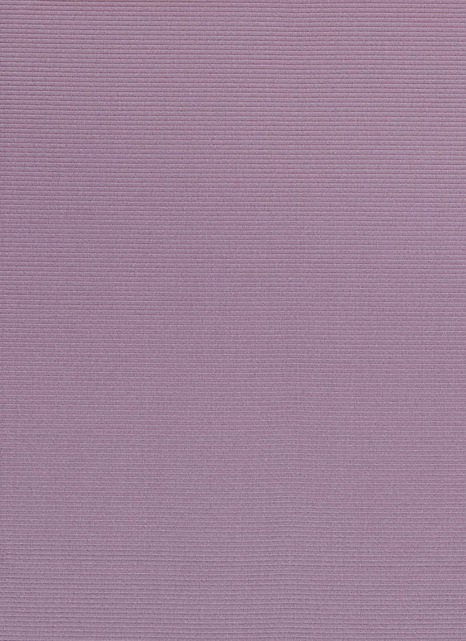 Alula – Wisteria