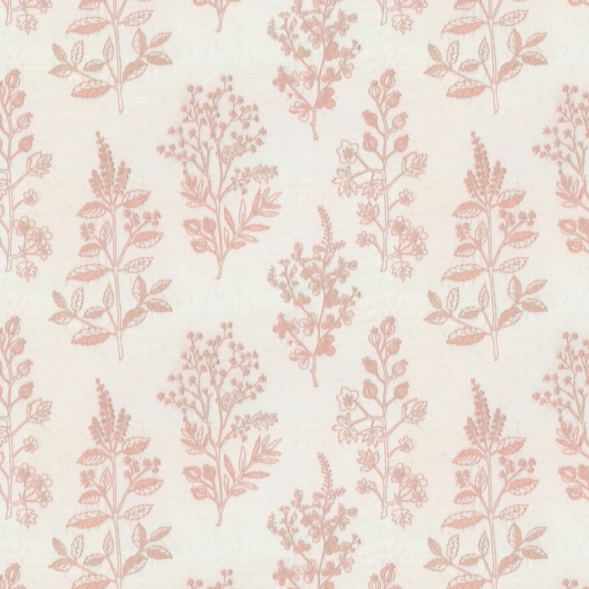 BOTANY – 8430542