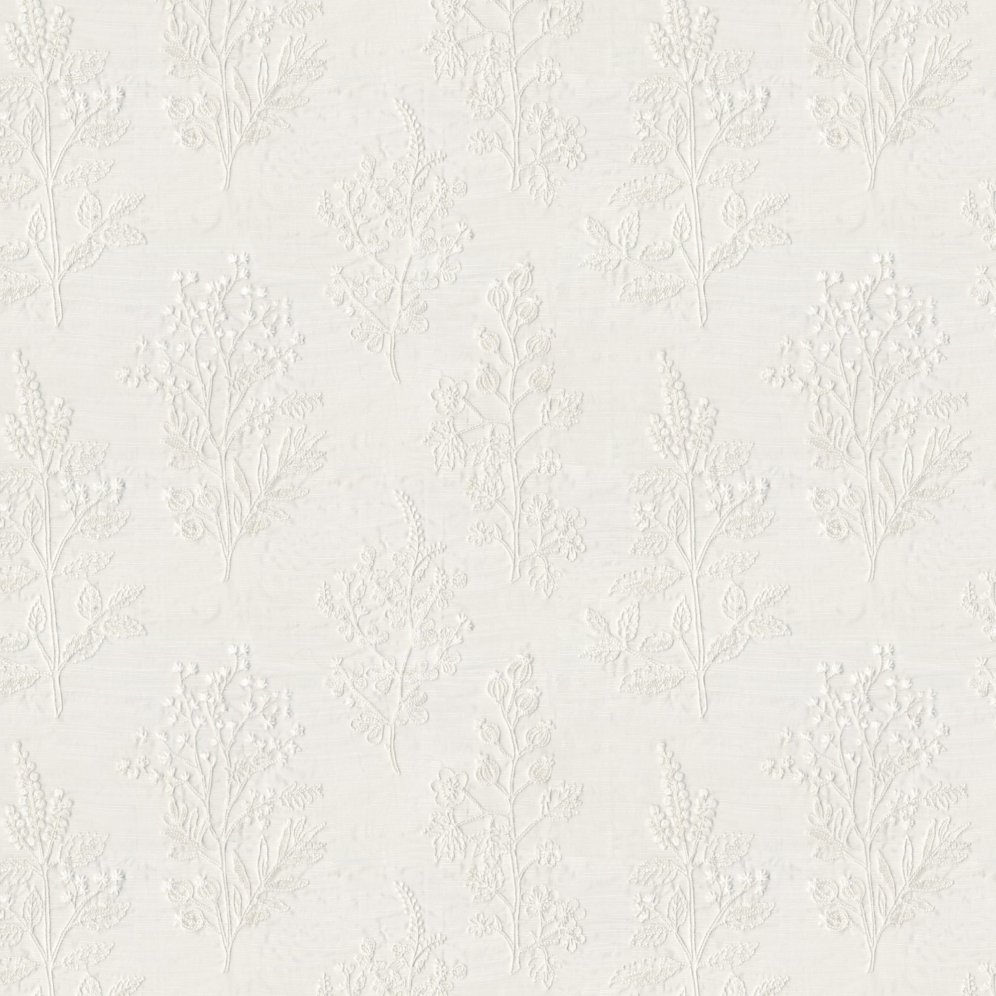 BOTANY – 8430591