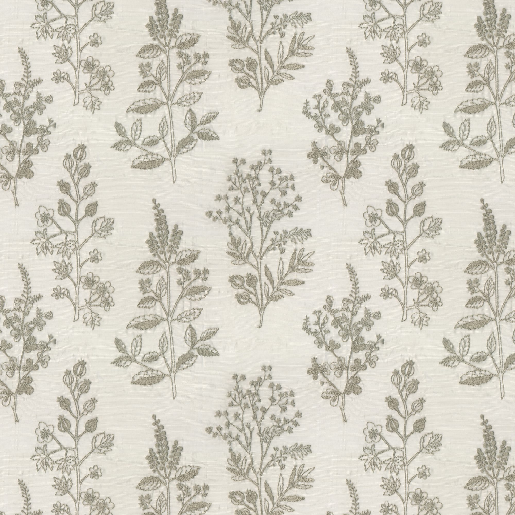 BOTANY – 8430594