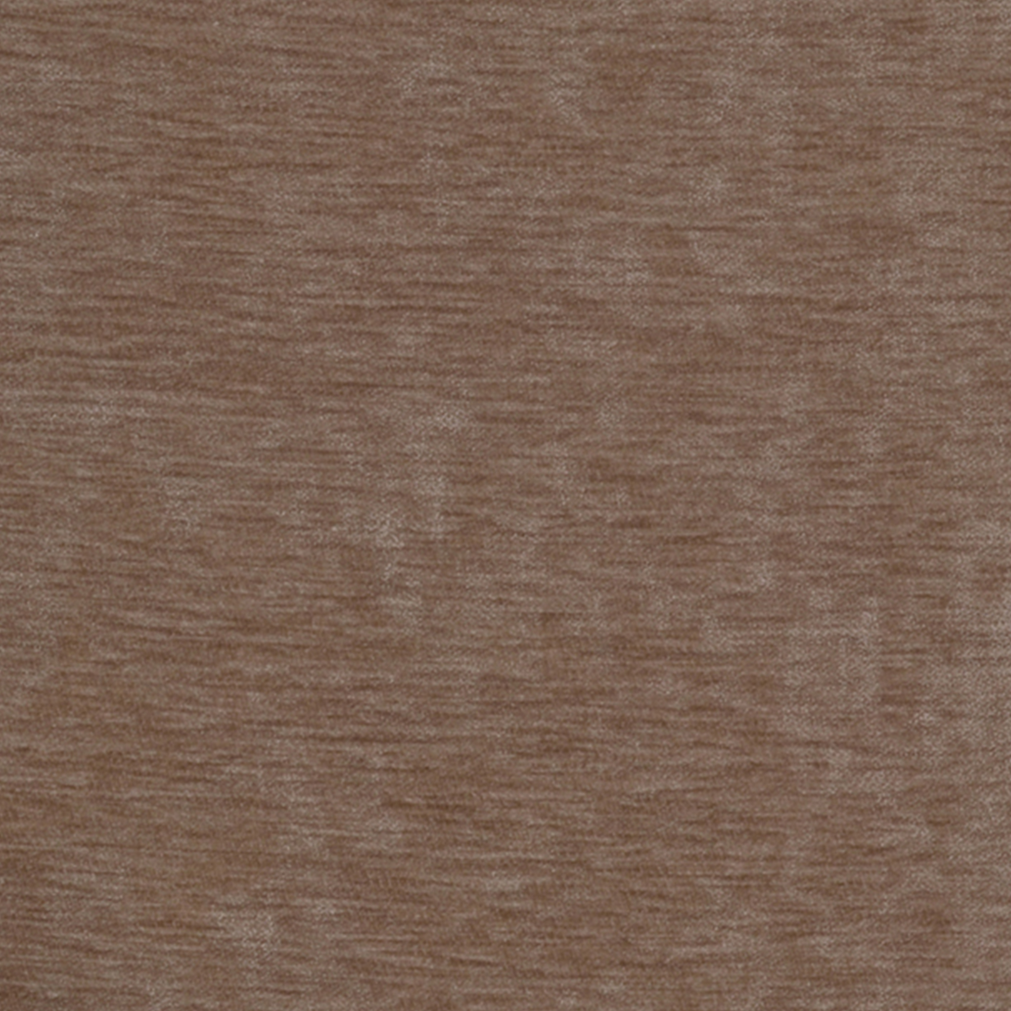 COCO – 4893694