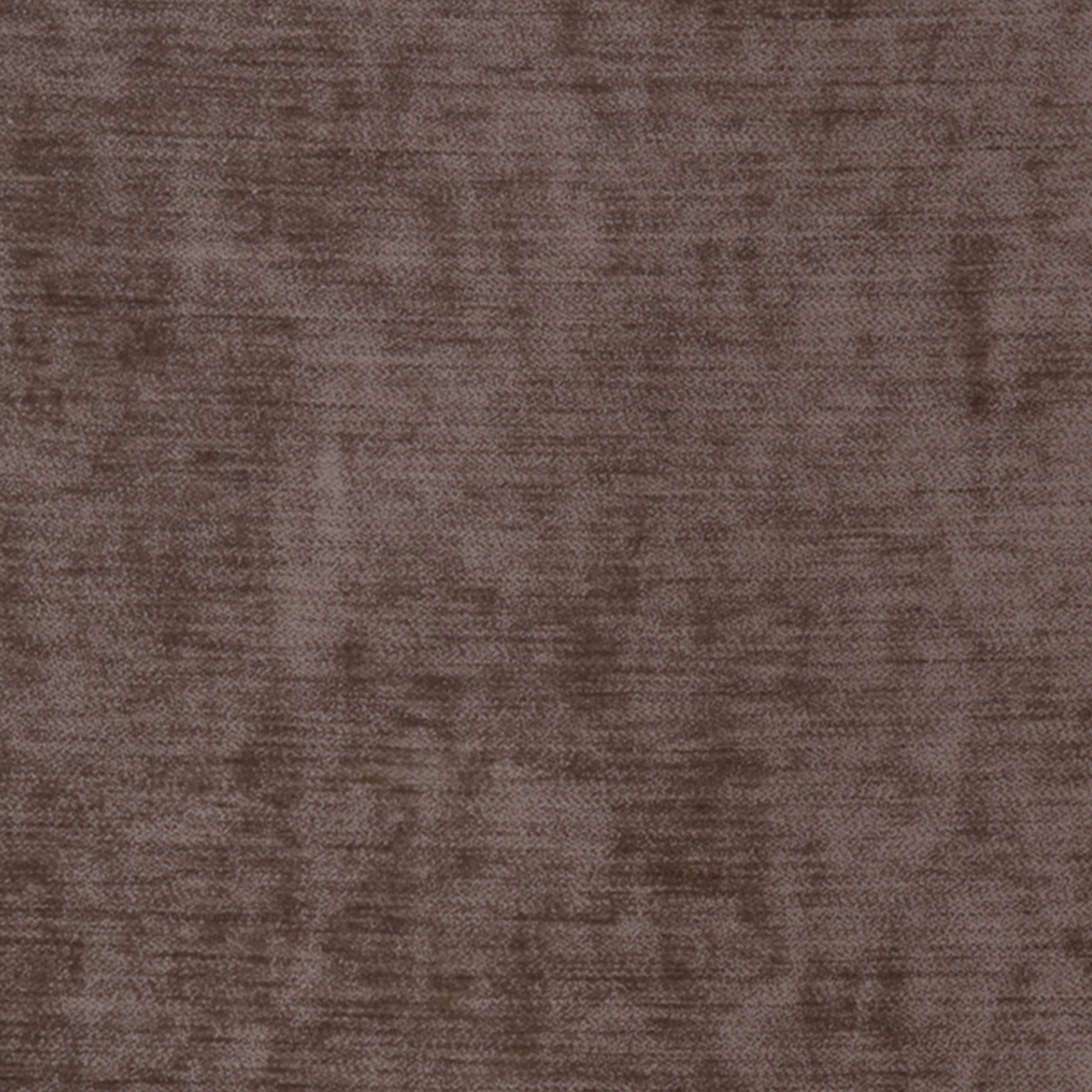 COCO – 4893695