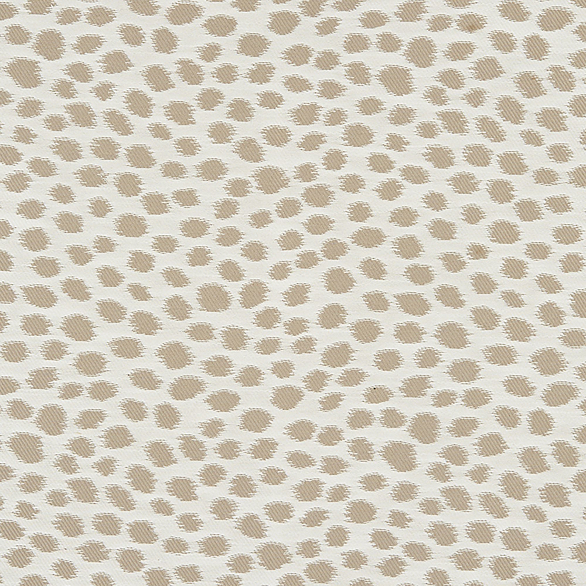 DALMATIAN – 7828332