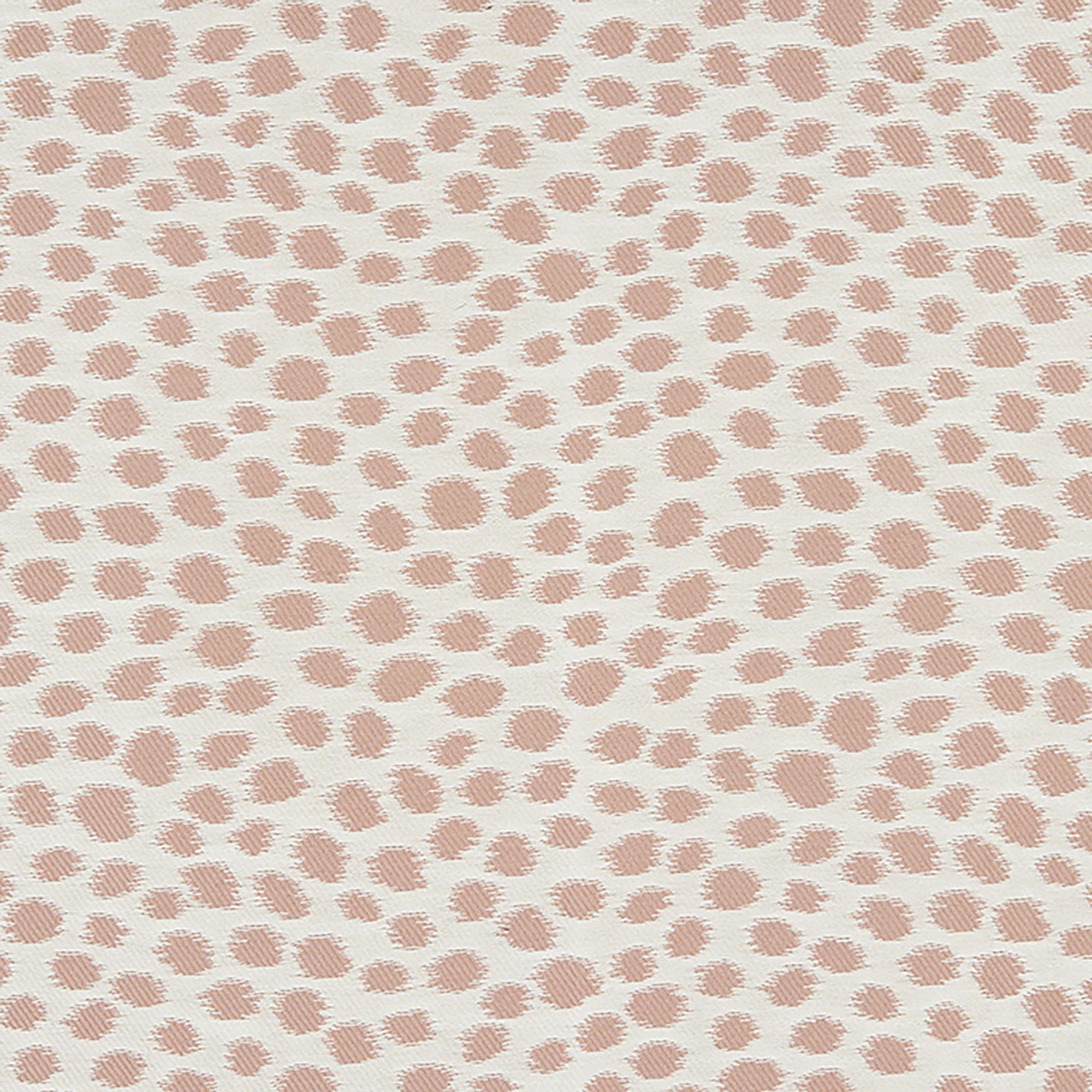 DALMATIAN – 7828342