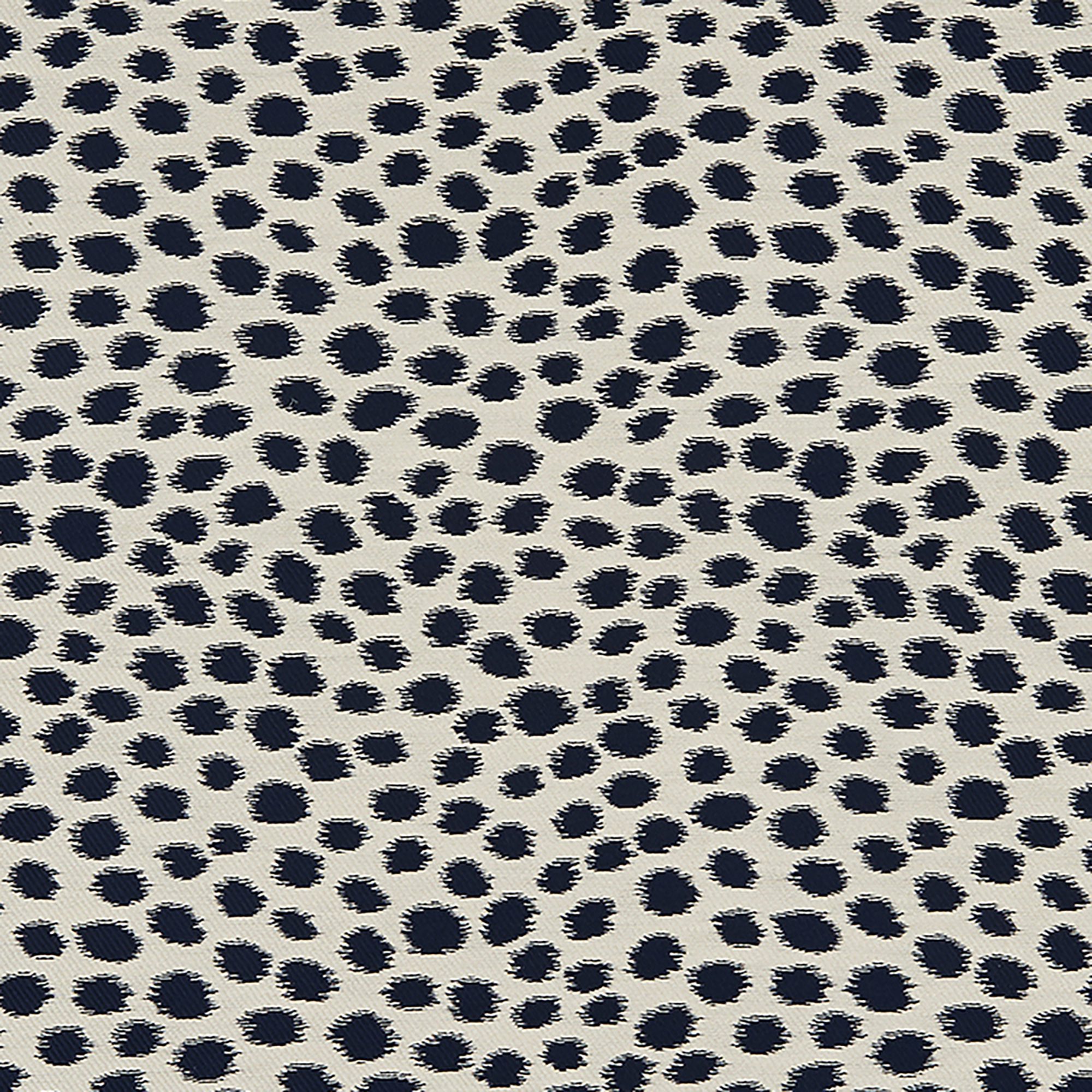 DALMATIAN – 7828367