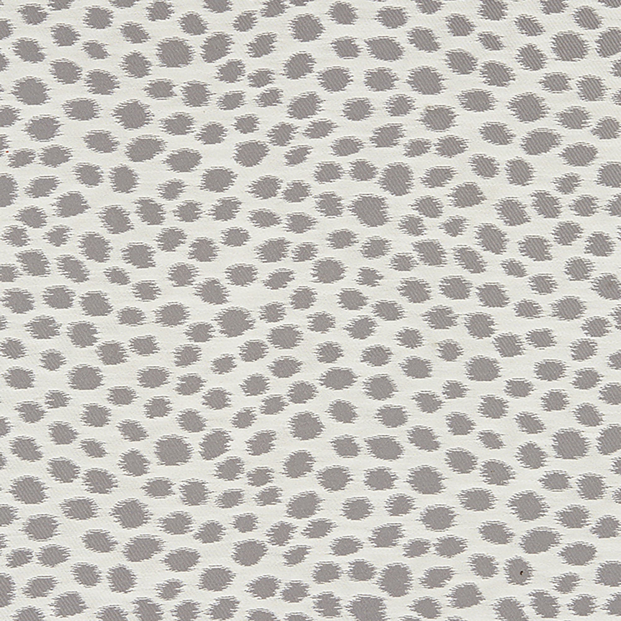 DALMATIAN – 7828394