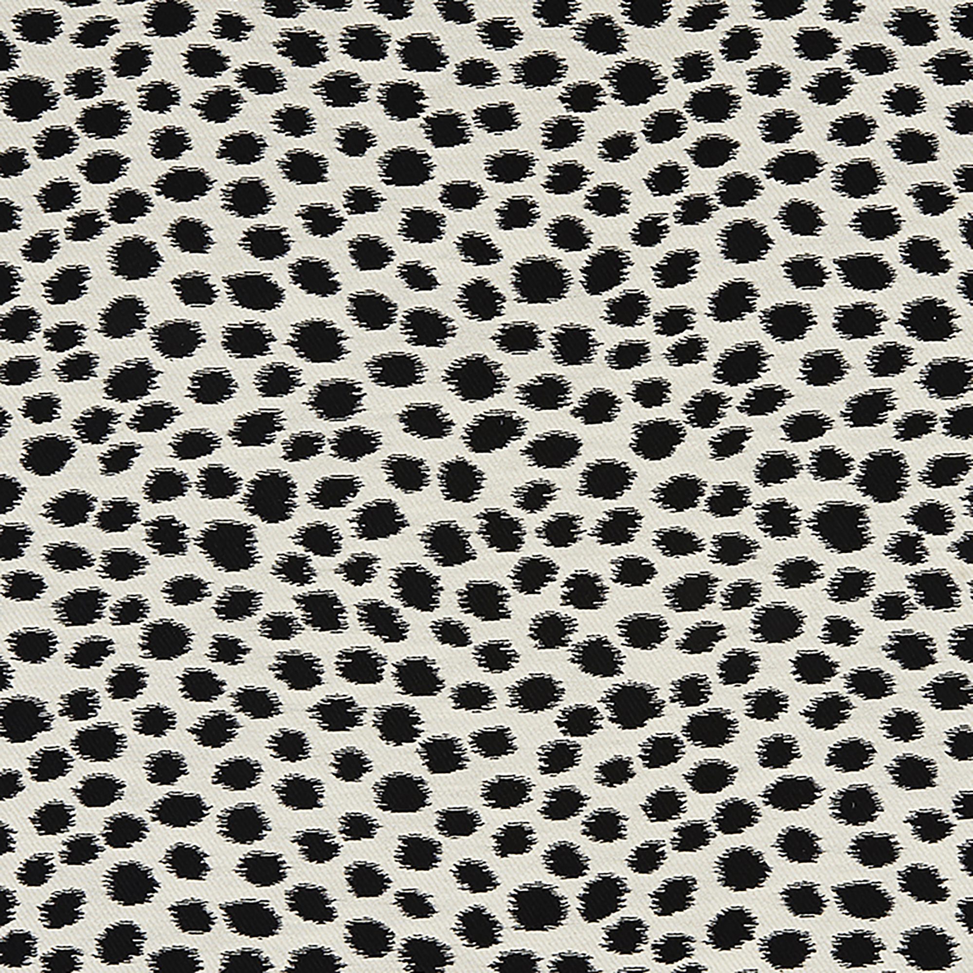 DALMATIAN – 7828397