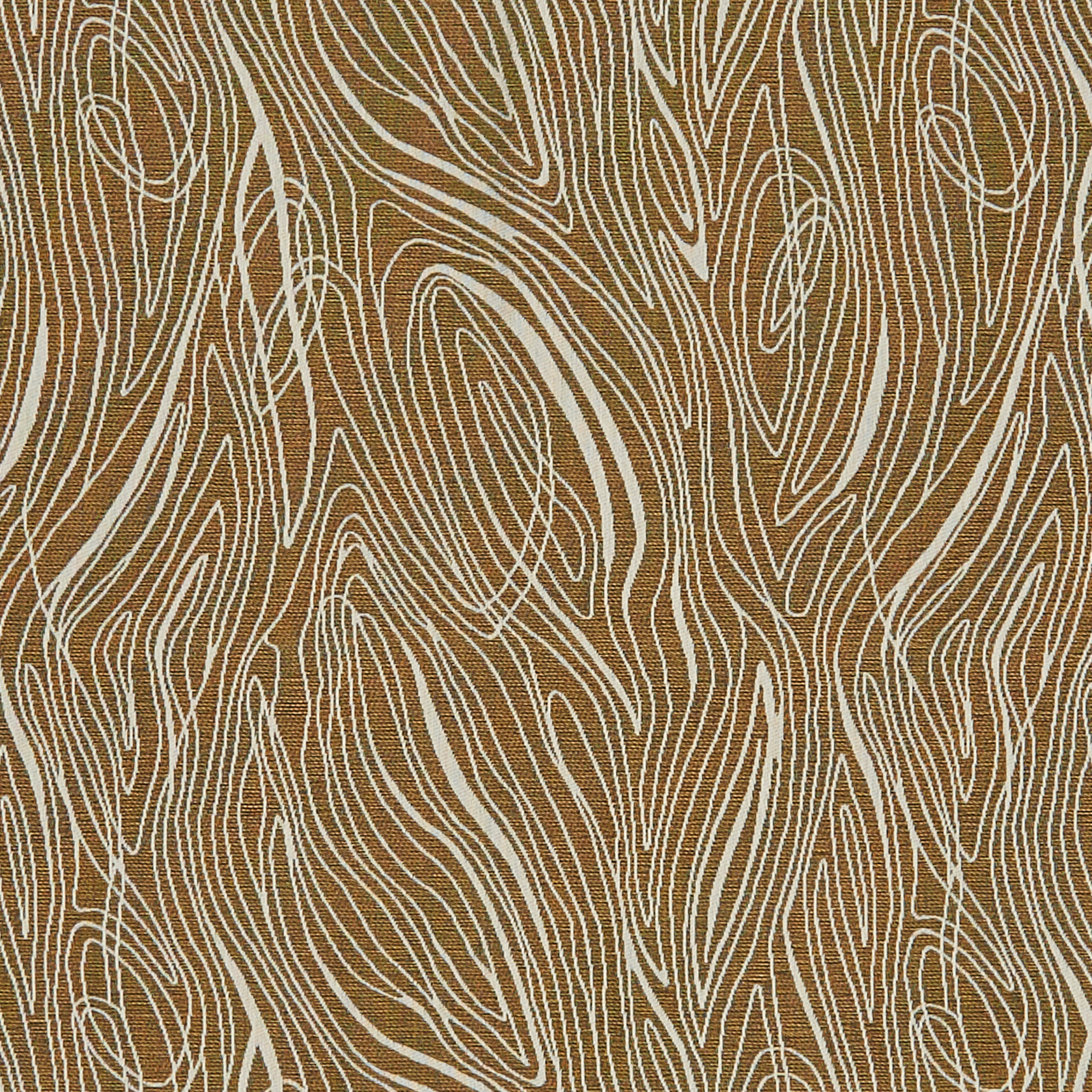 LIONFISH – 6475019