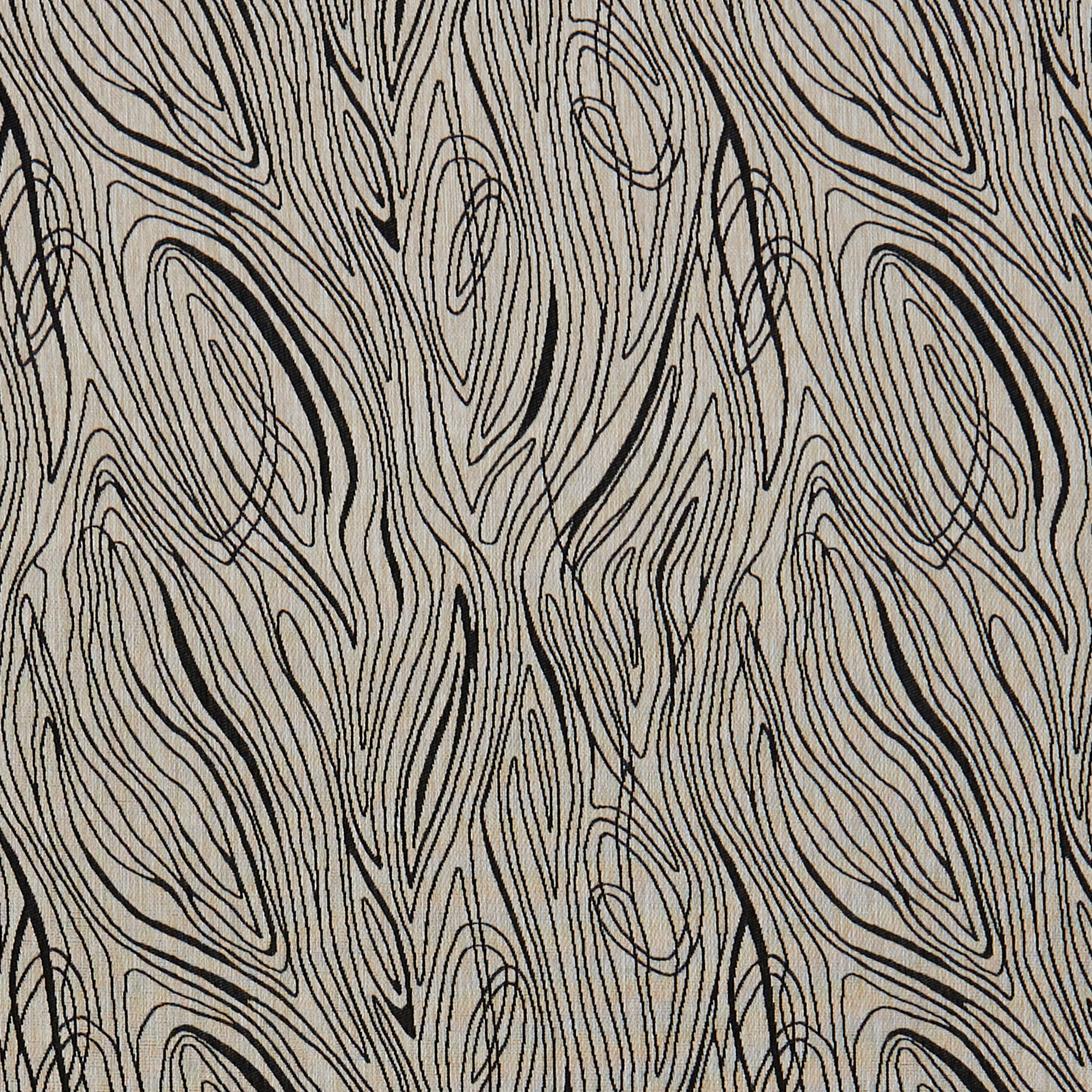 LIONFISH – 6475097