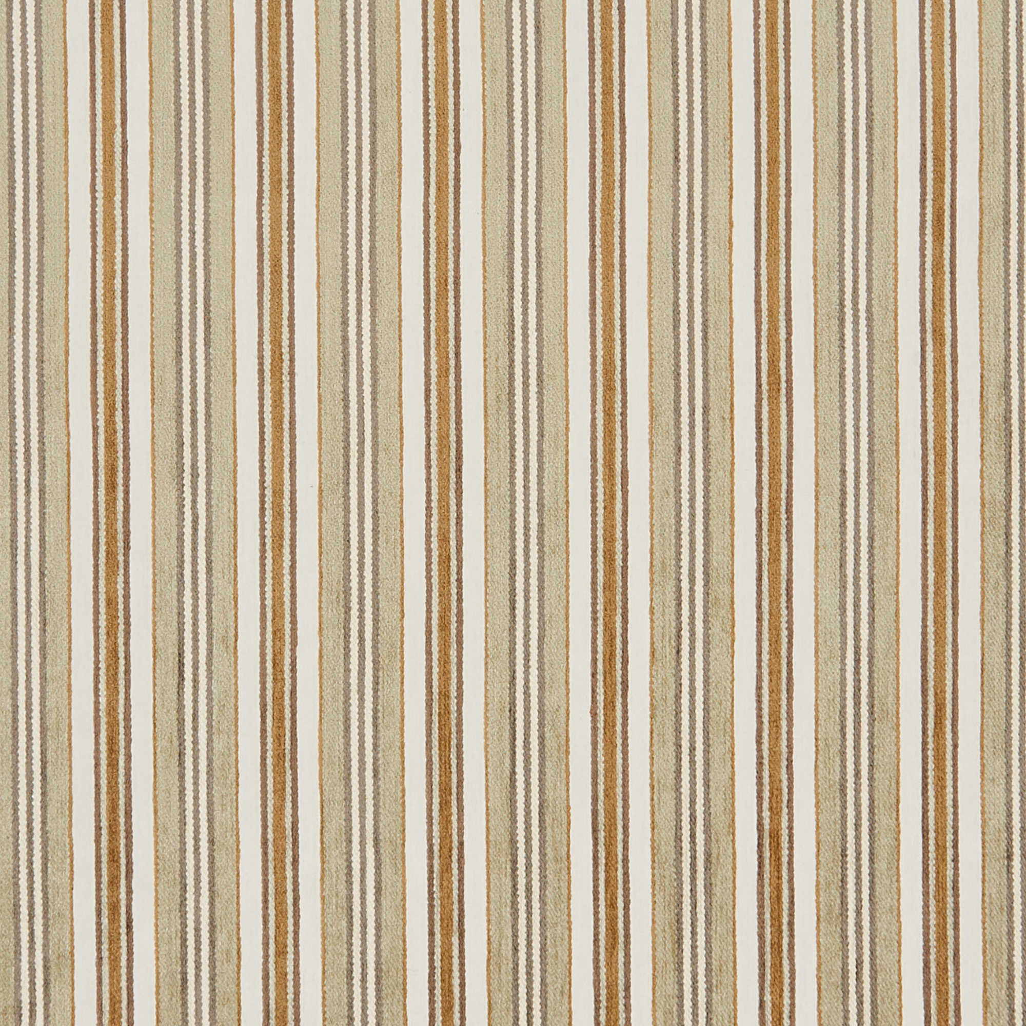 PAVILION – 6475333