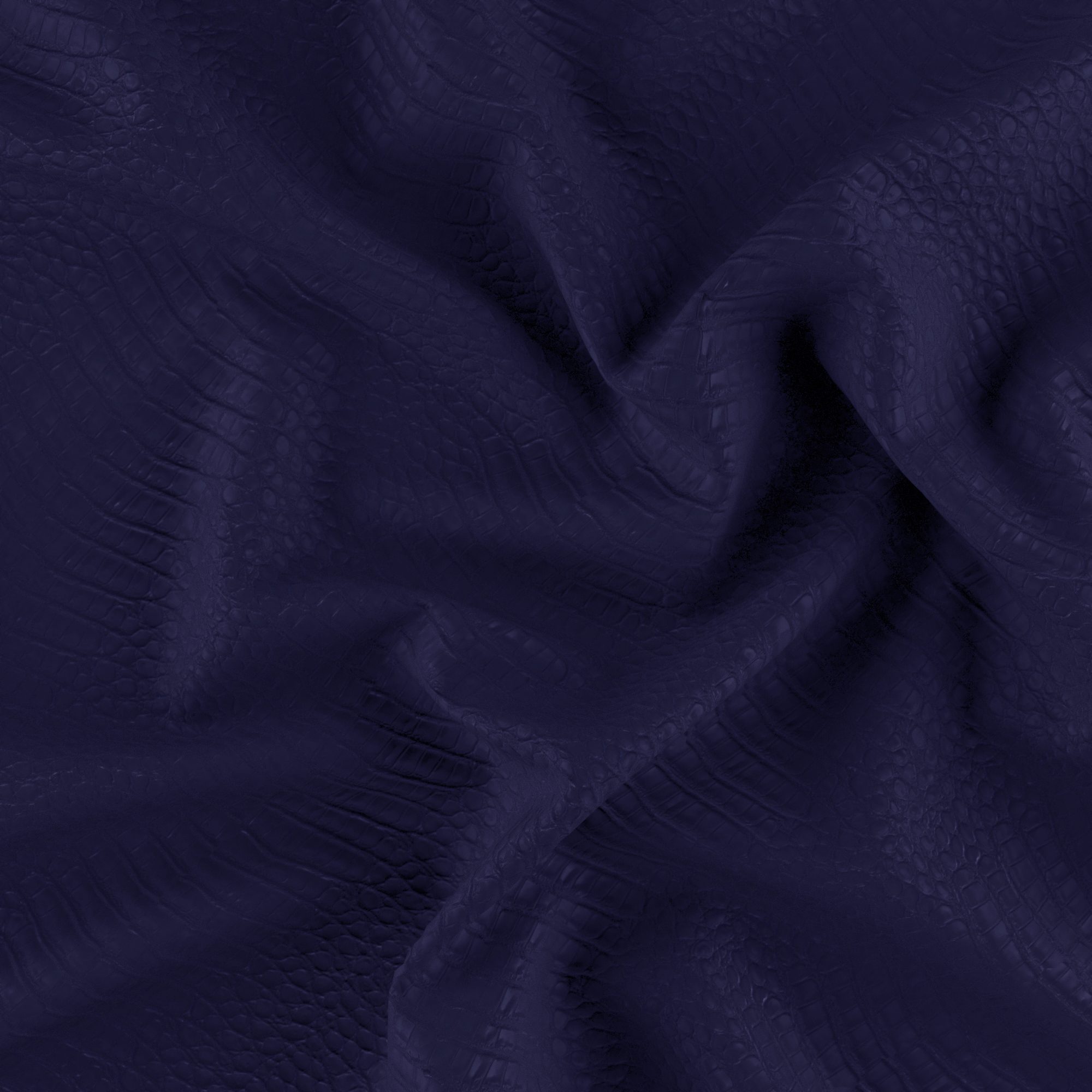 RAVEN – 8935068