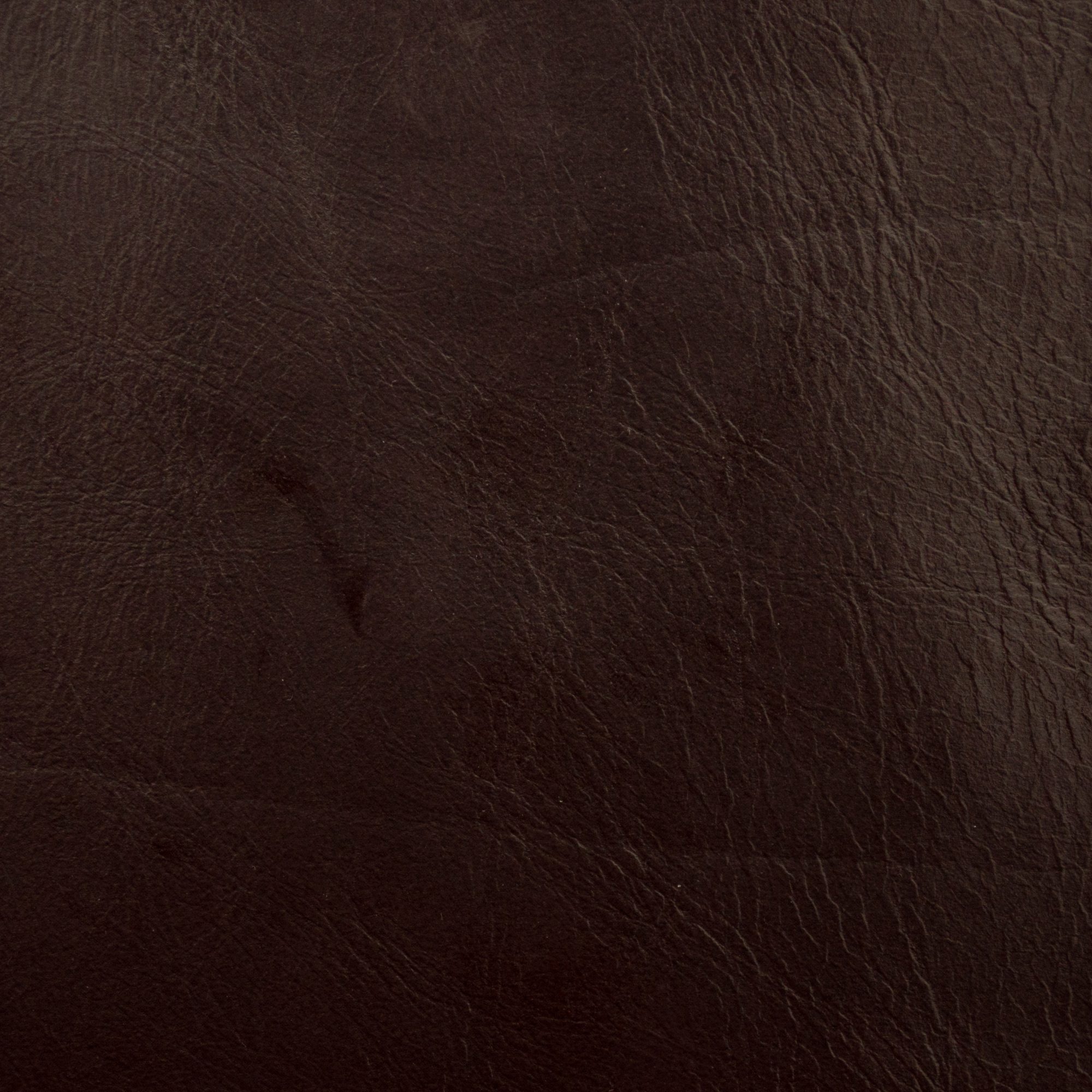 RODEO – 9552338