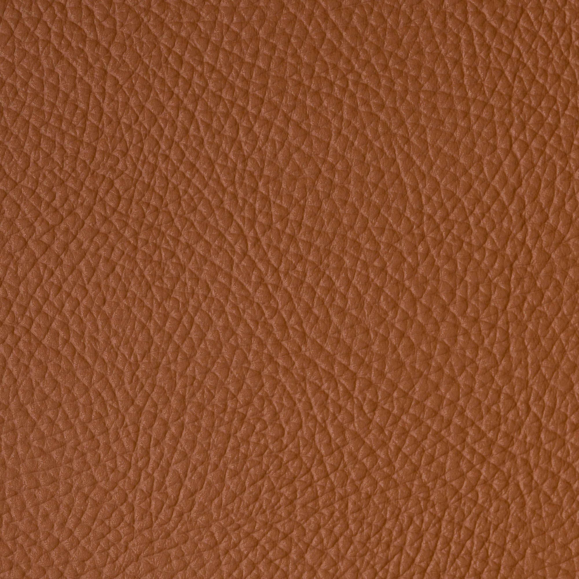 SADDLE – 9552628