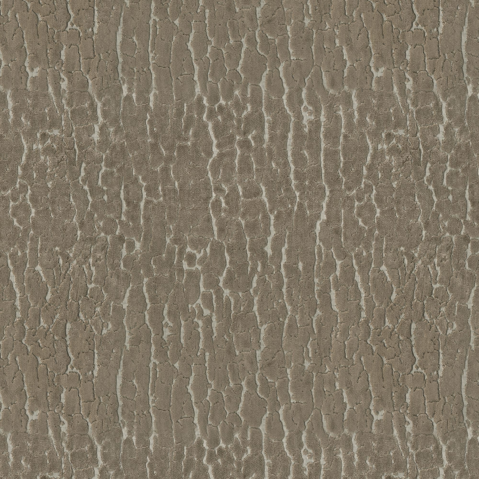TERRAIN – 8431236