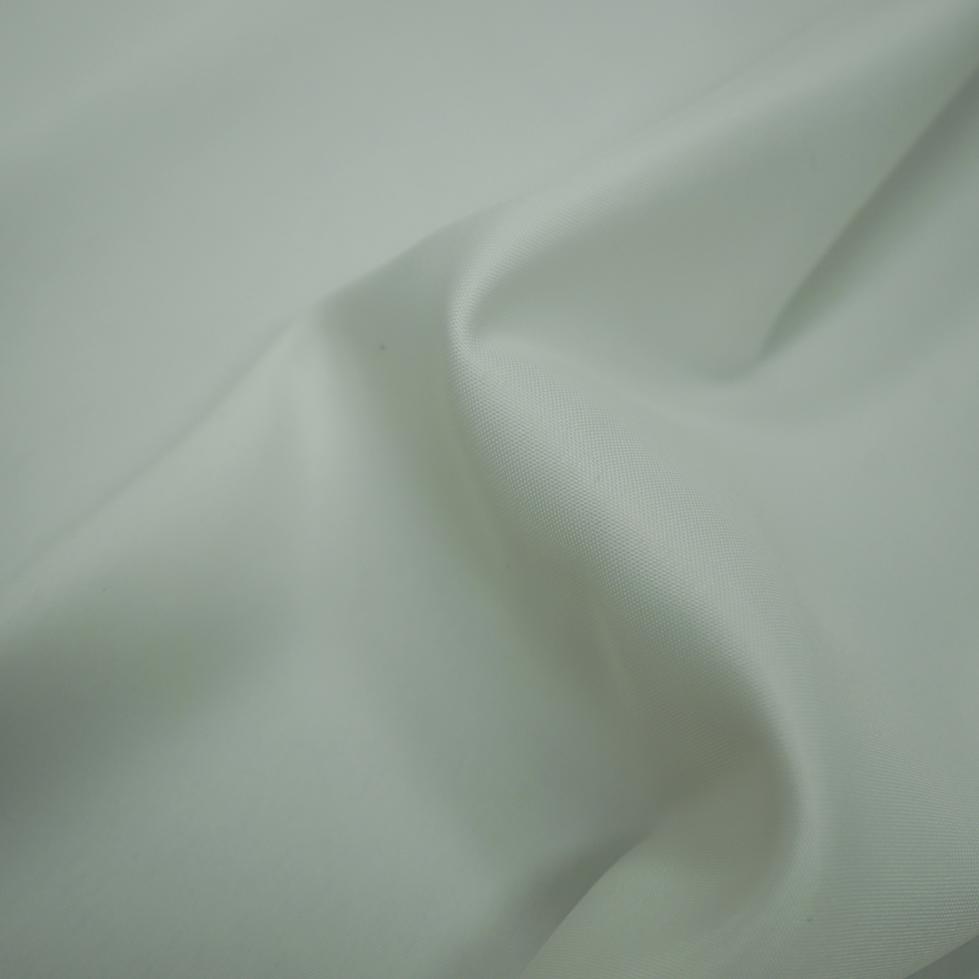 VEIL – 6004390