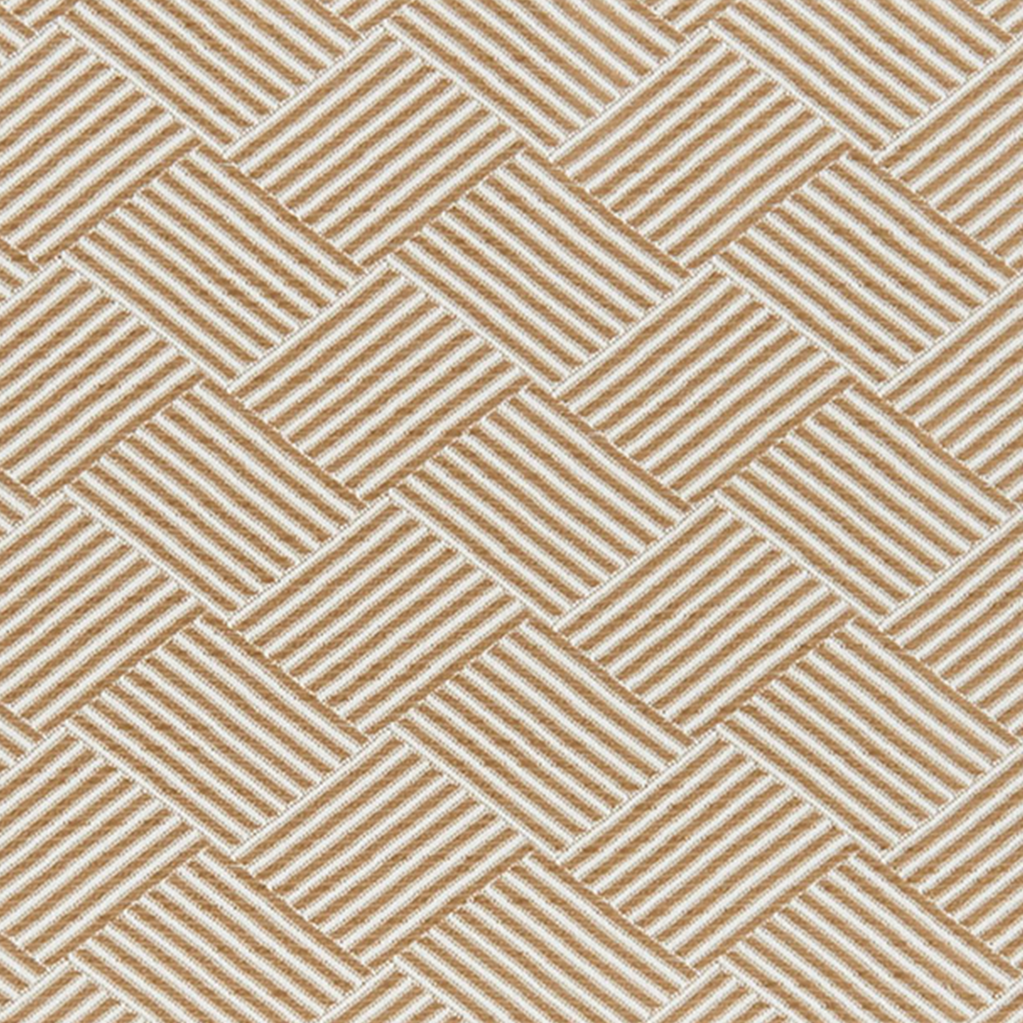 WALDO – 5967815