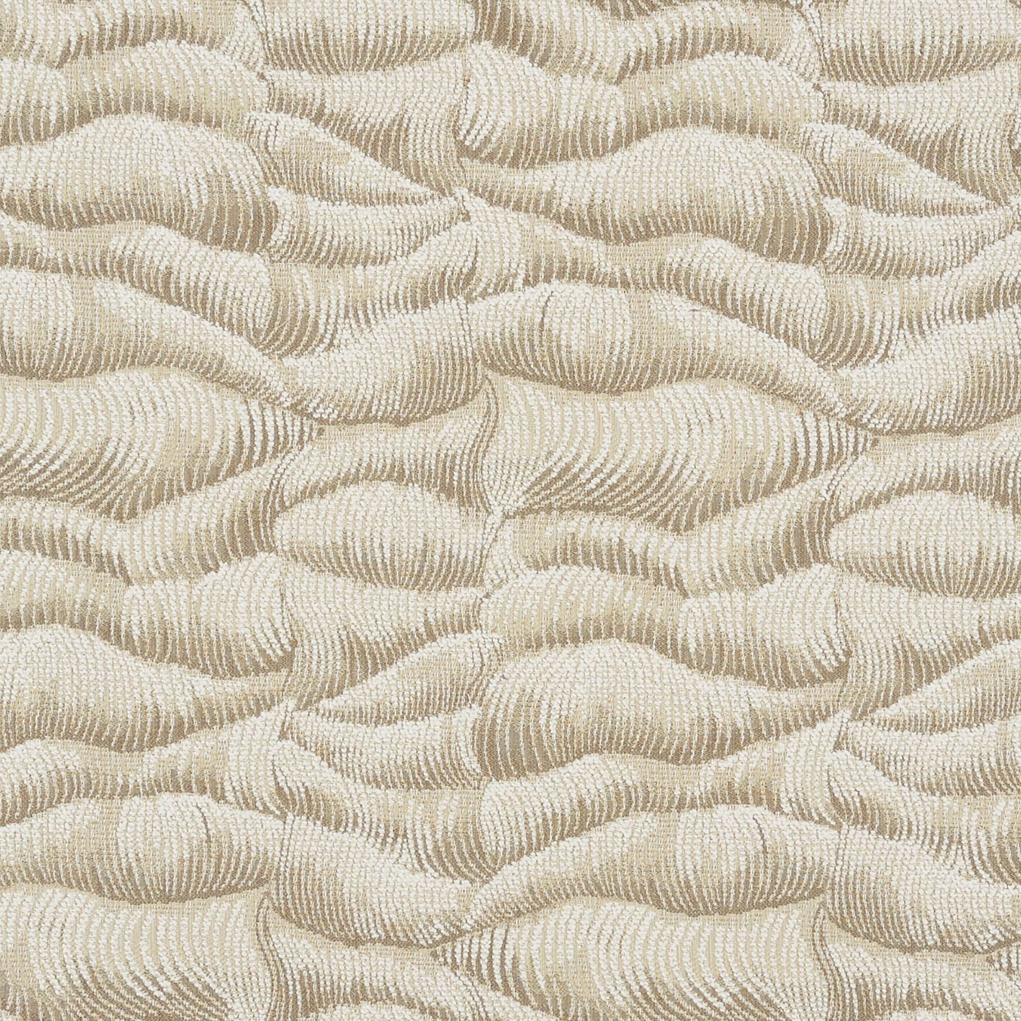 WAVY – 8946435