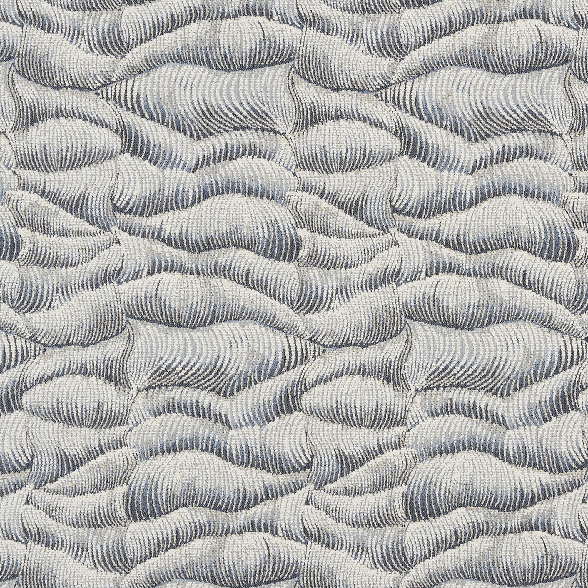 WAVY – 8946465