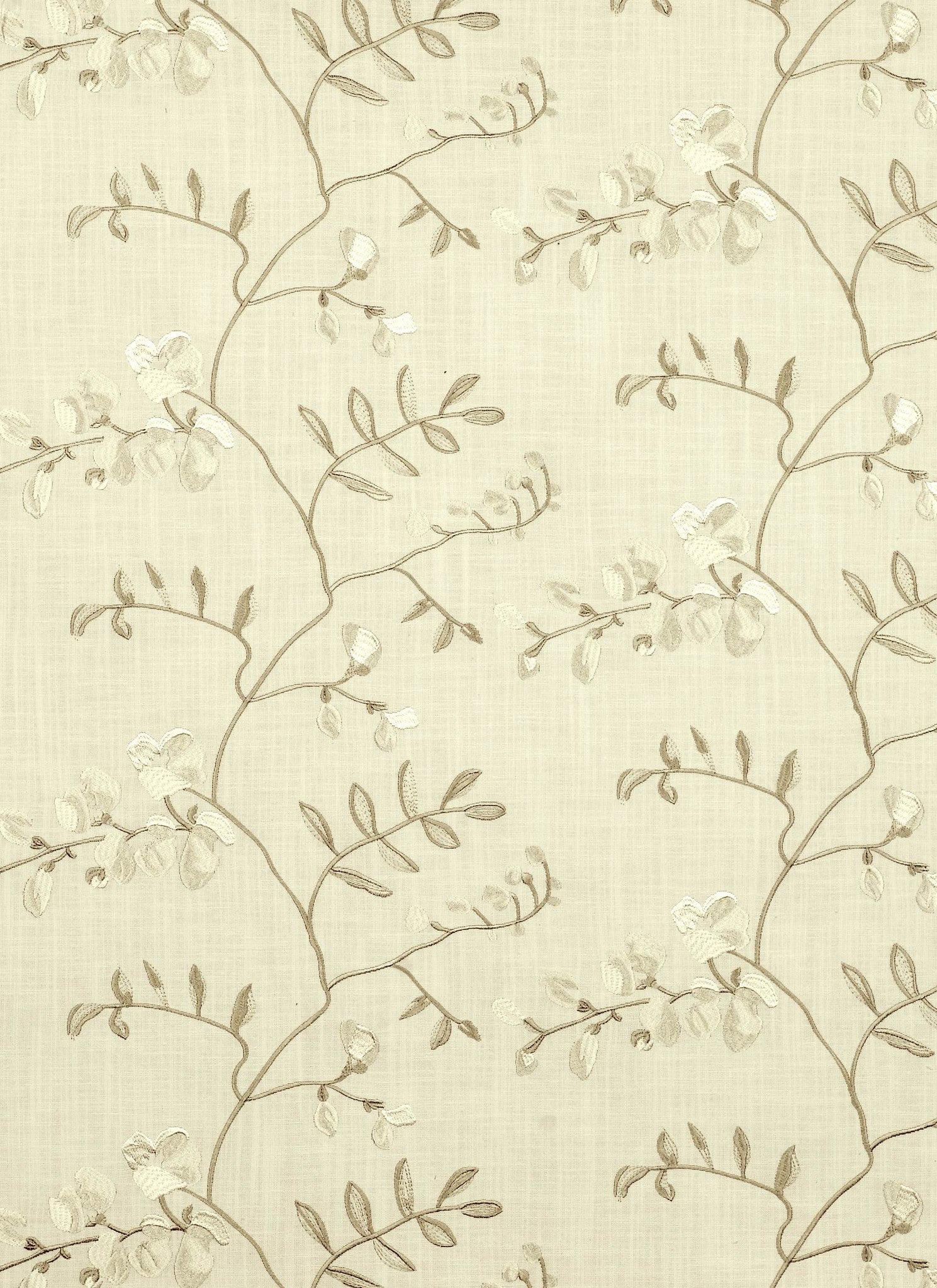 Belair – Charming1