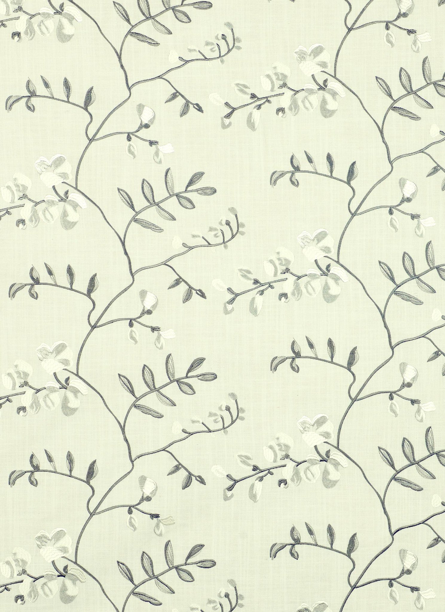 Belair – Tealight