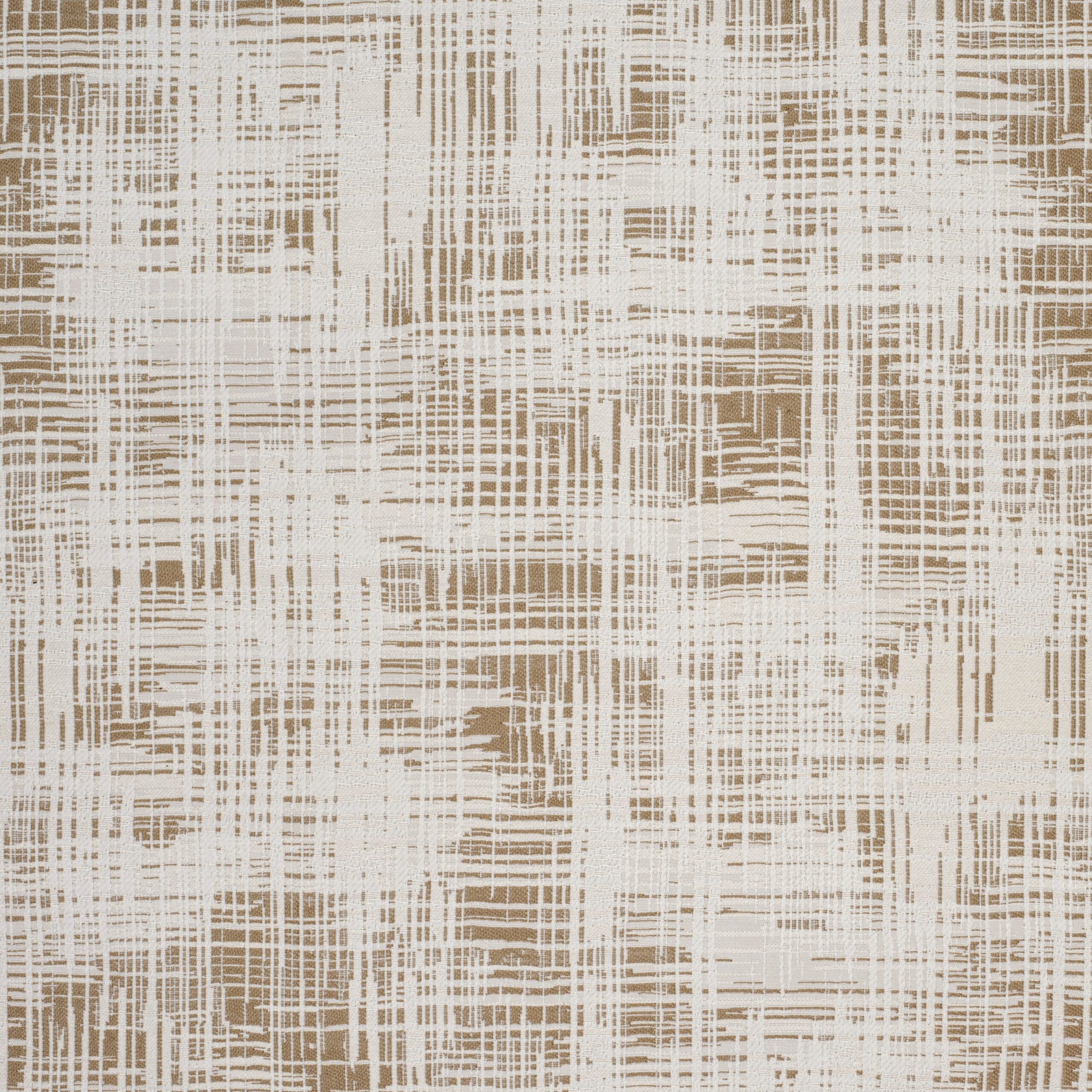 Cypress – Angora