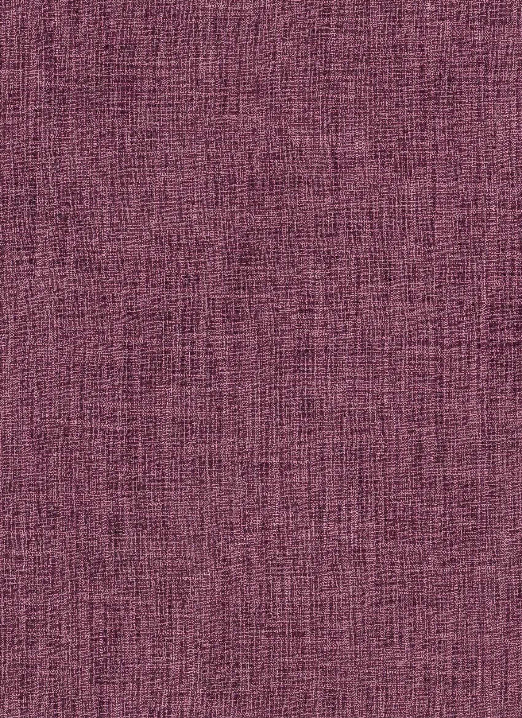 Everton – Orchid