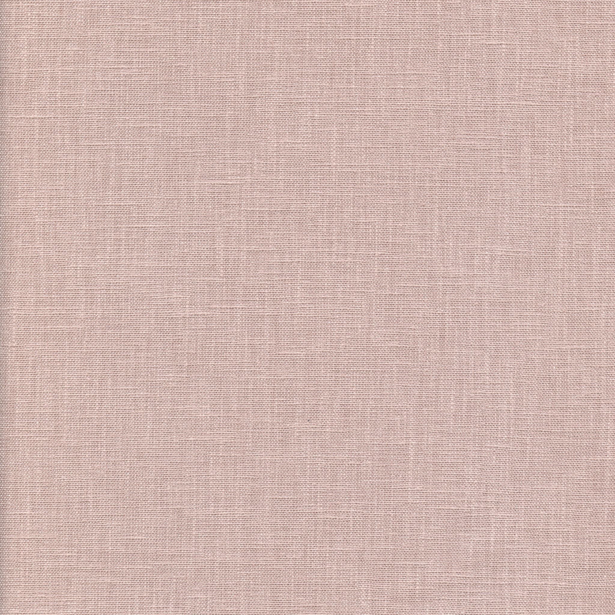 Focus – Blush