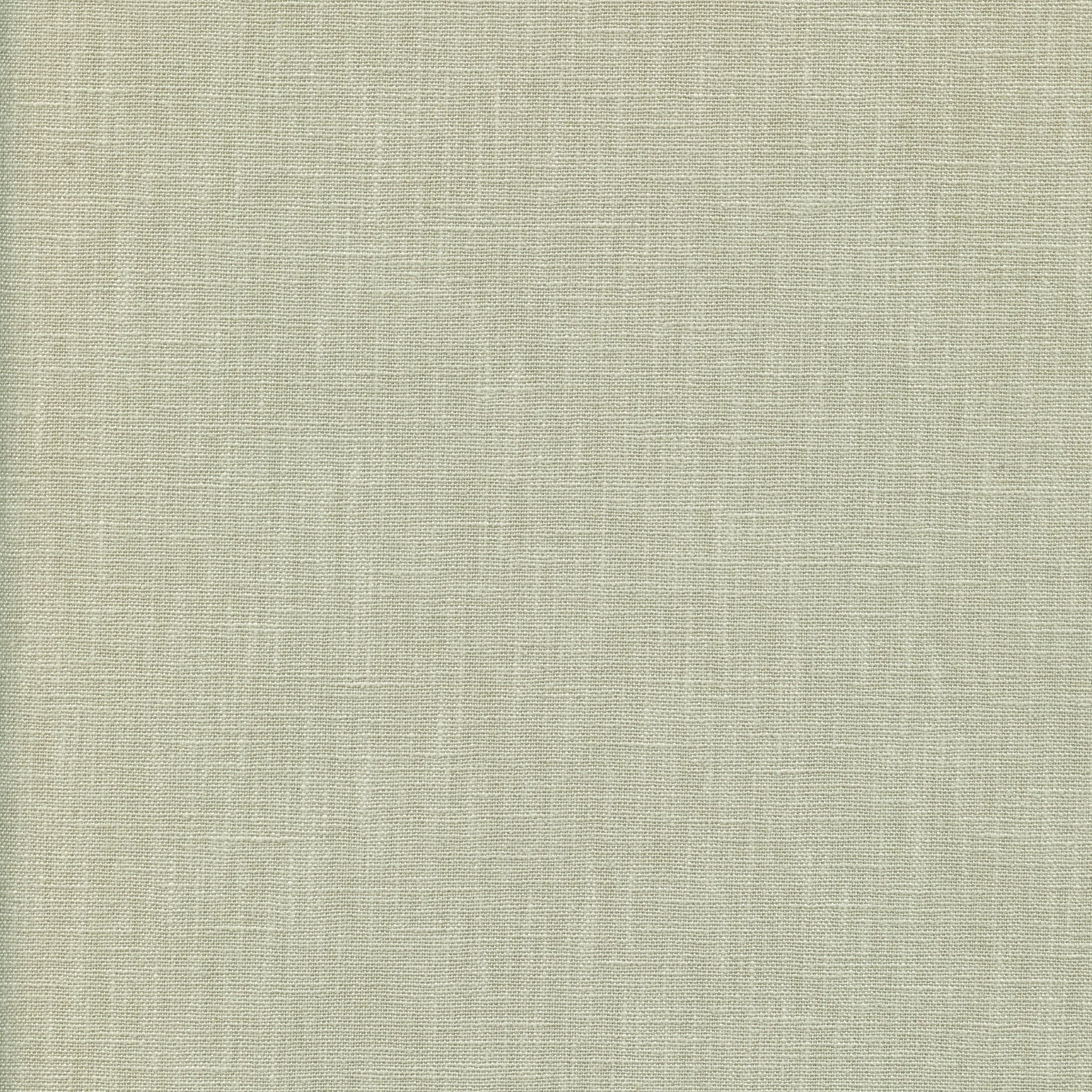 Focus – Mint