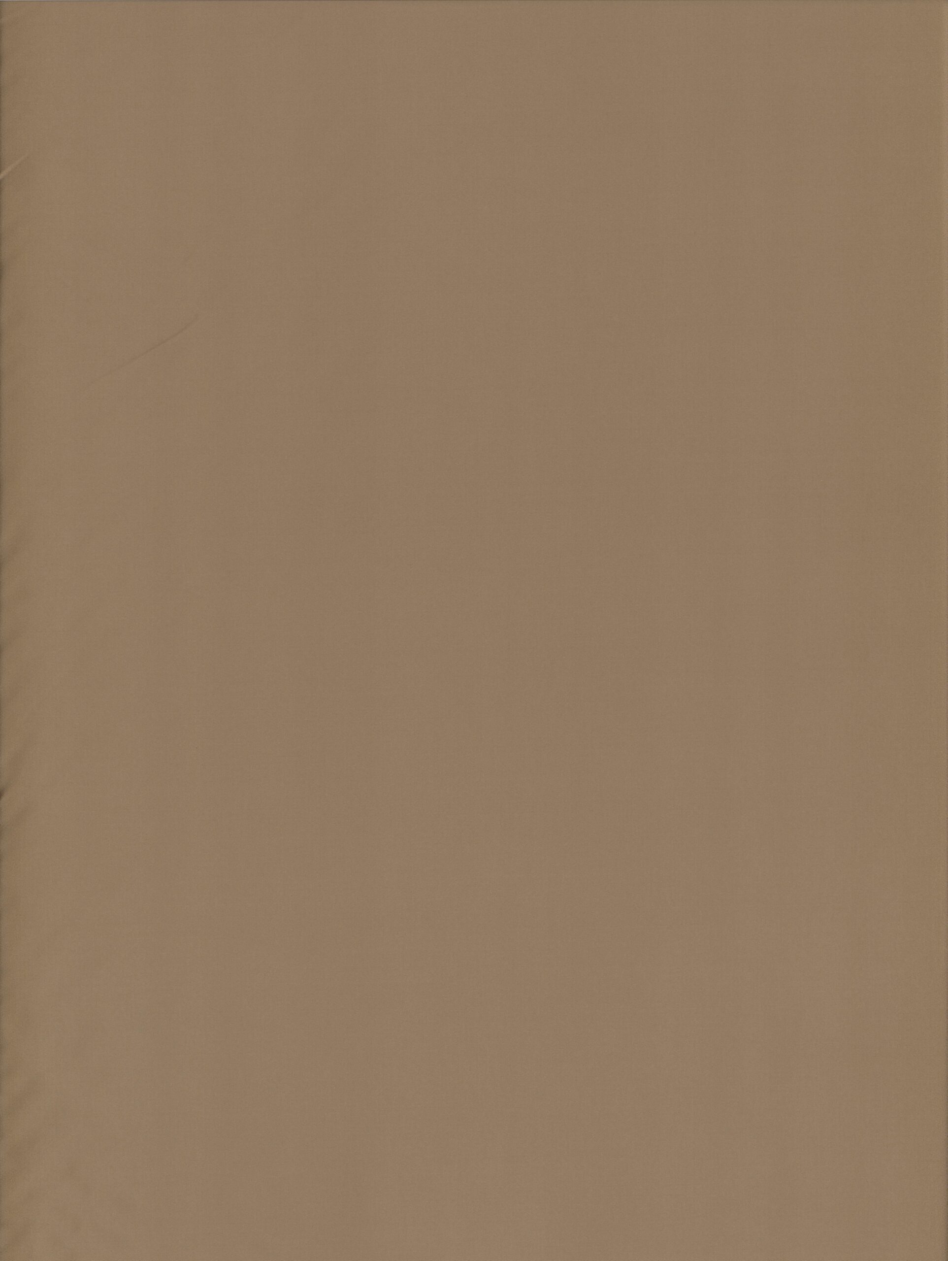 Napa – Ginger