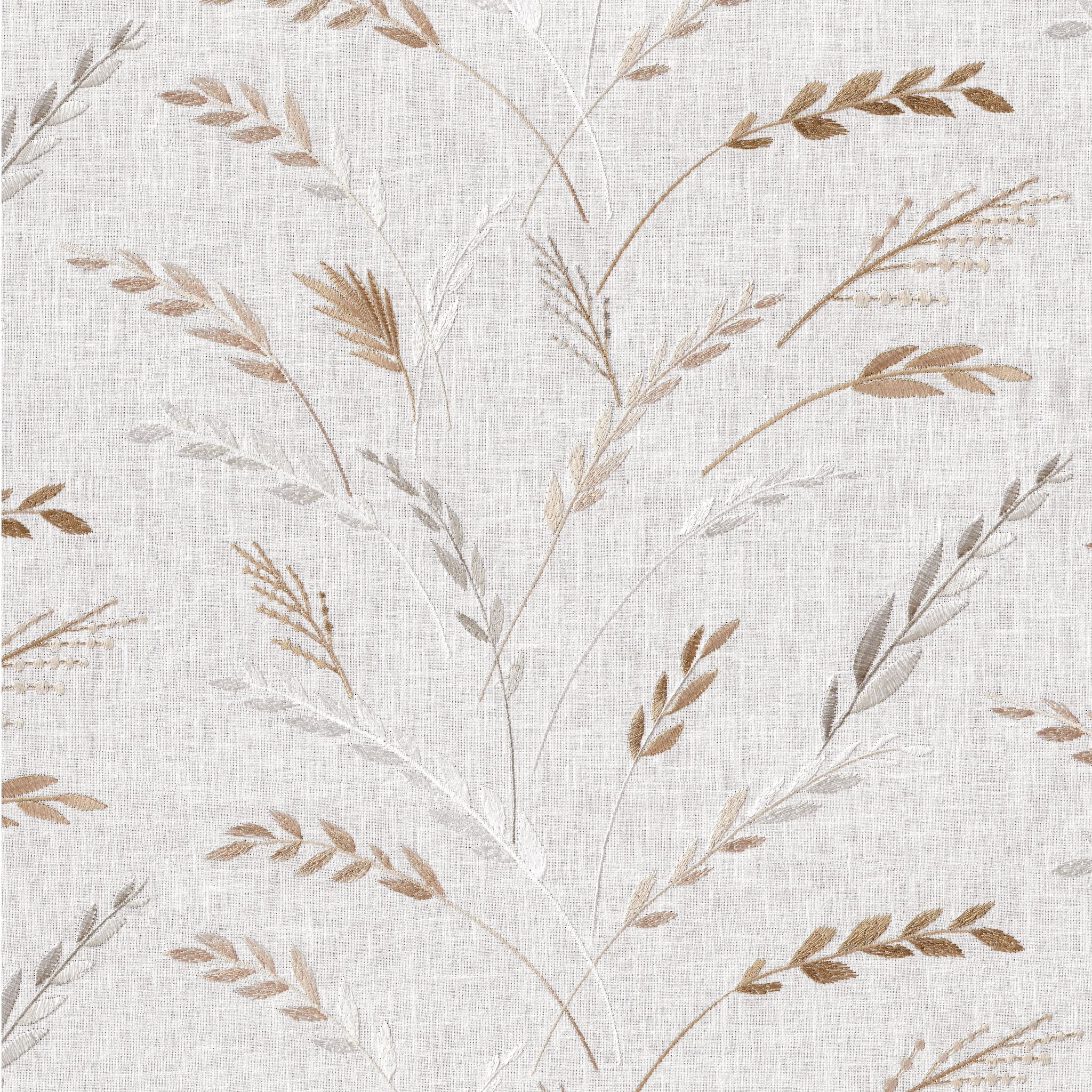 Pampas – Crocus