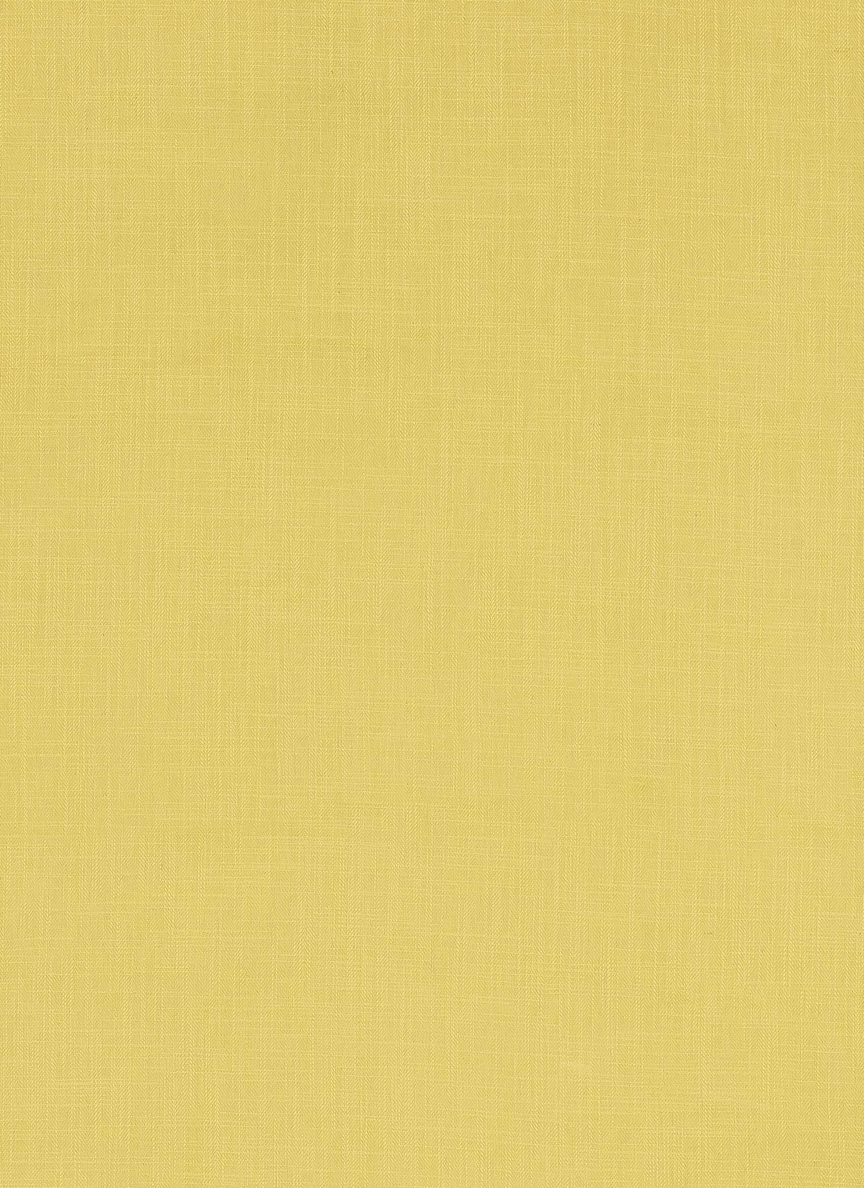 Tudor – Jazzy