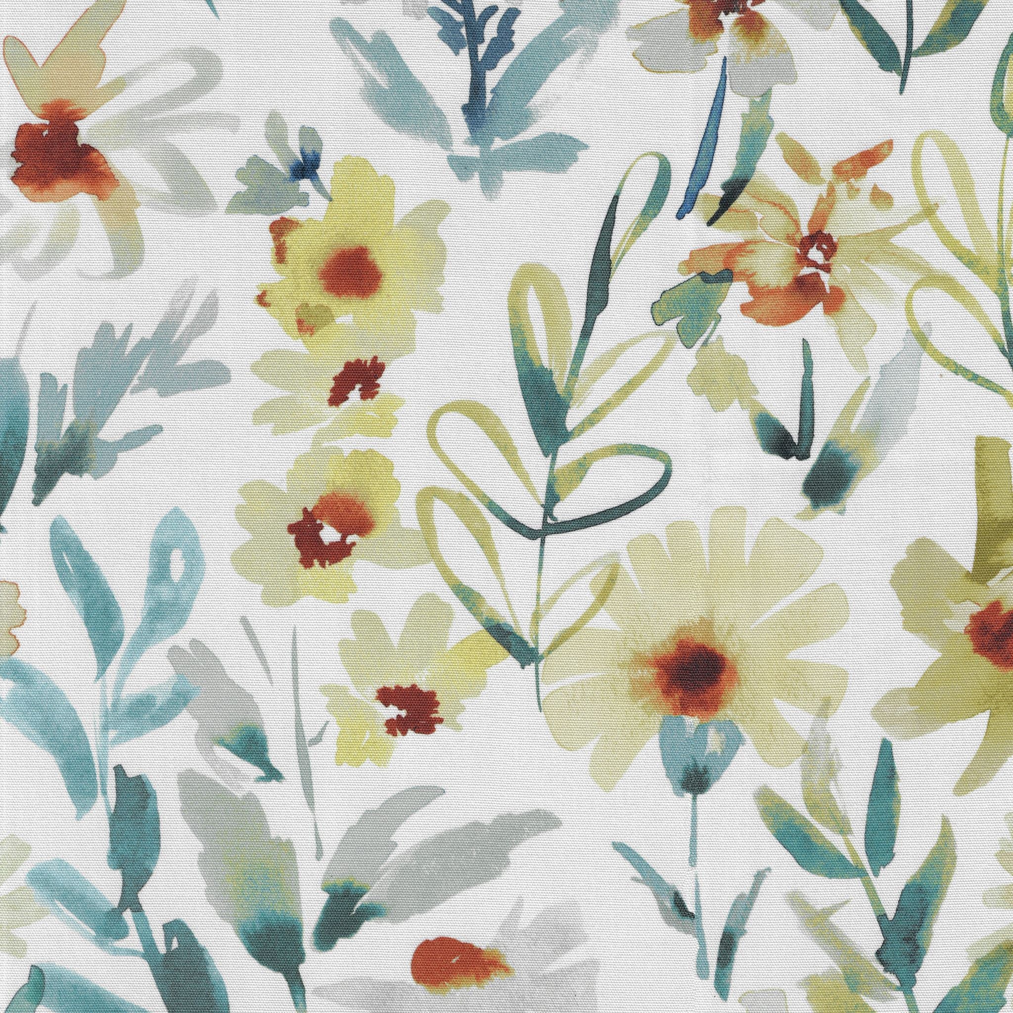 Zinnia – Phlox