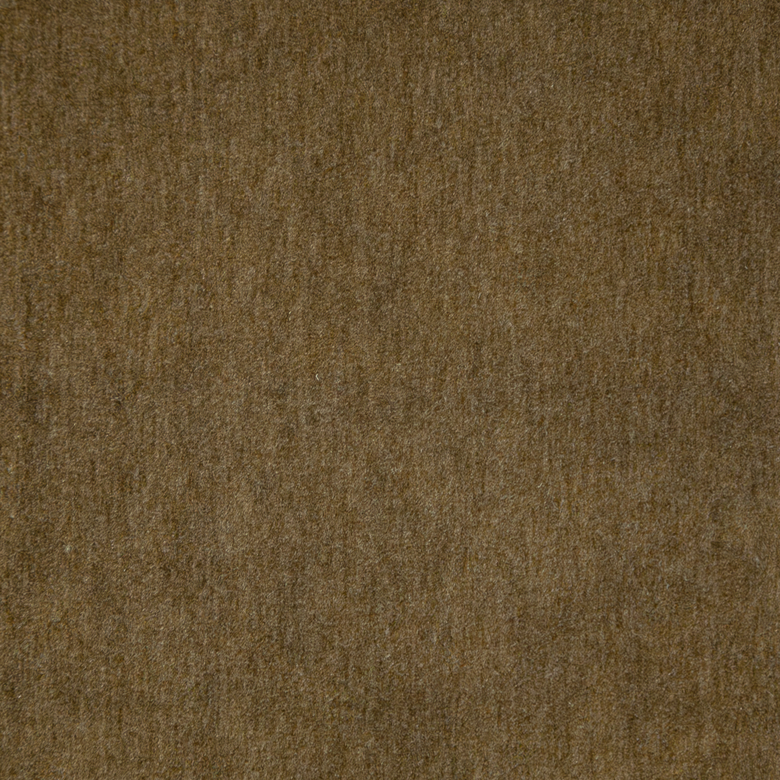 BELLUNO – # 119 BARK