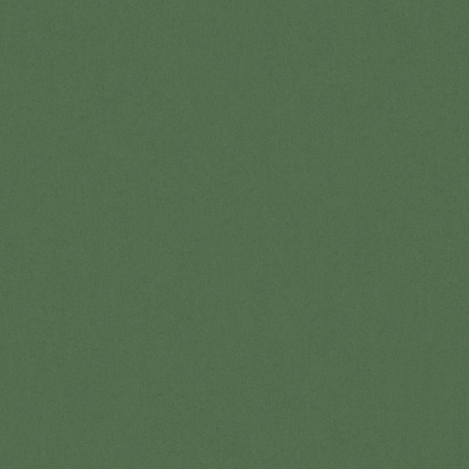ZAITUN – # 518 FOREST