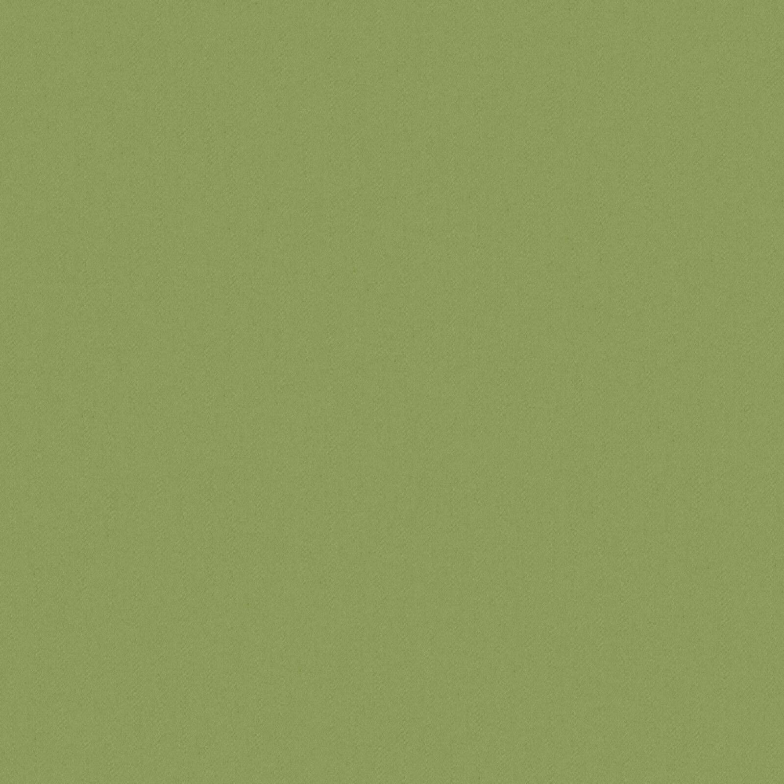 ZAITUN – # 519 HEDGE