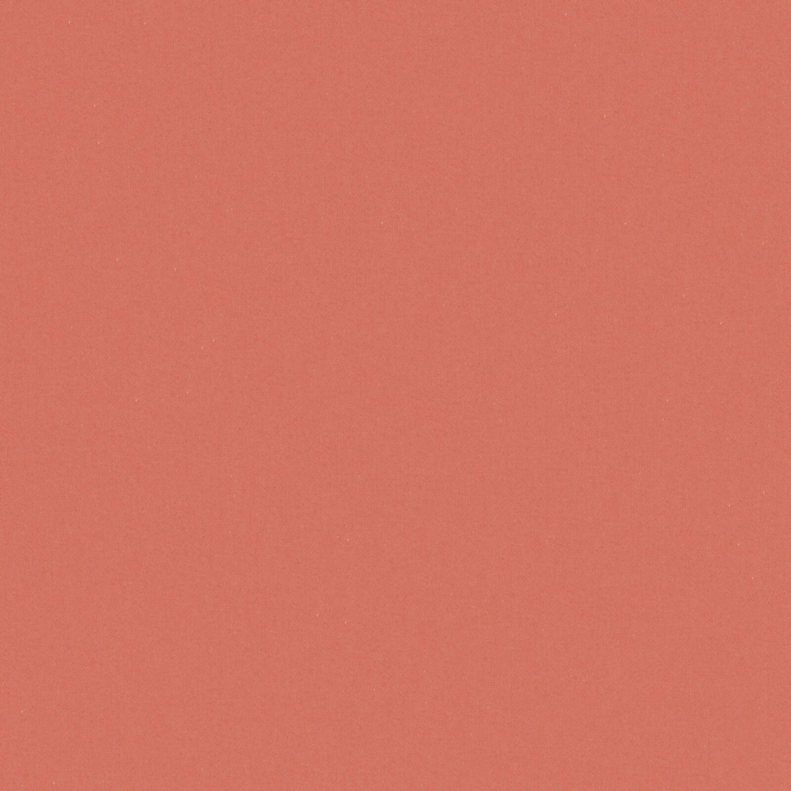 ZAITUN – # 527 CORAL