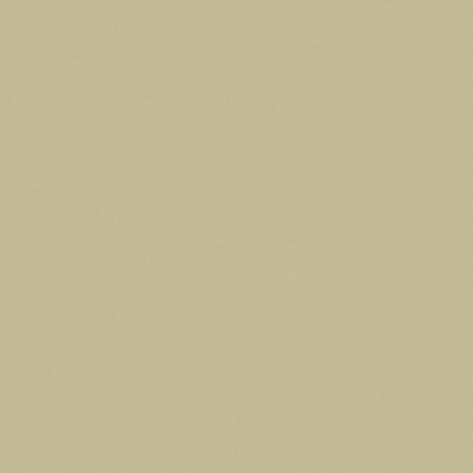 ZAITUN – # 544 SEAGRASS