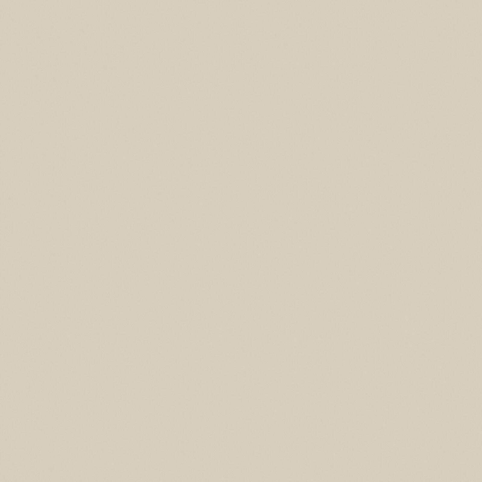 ZAITUN – # 552 RATTAN