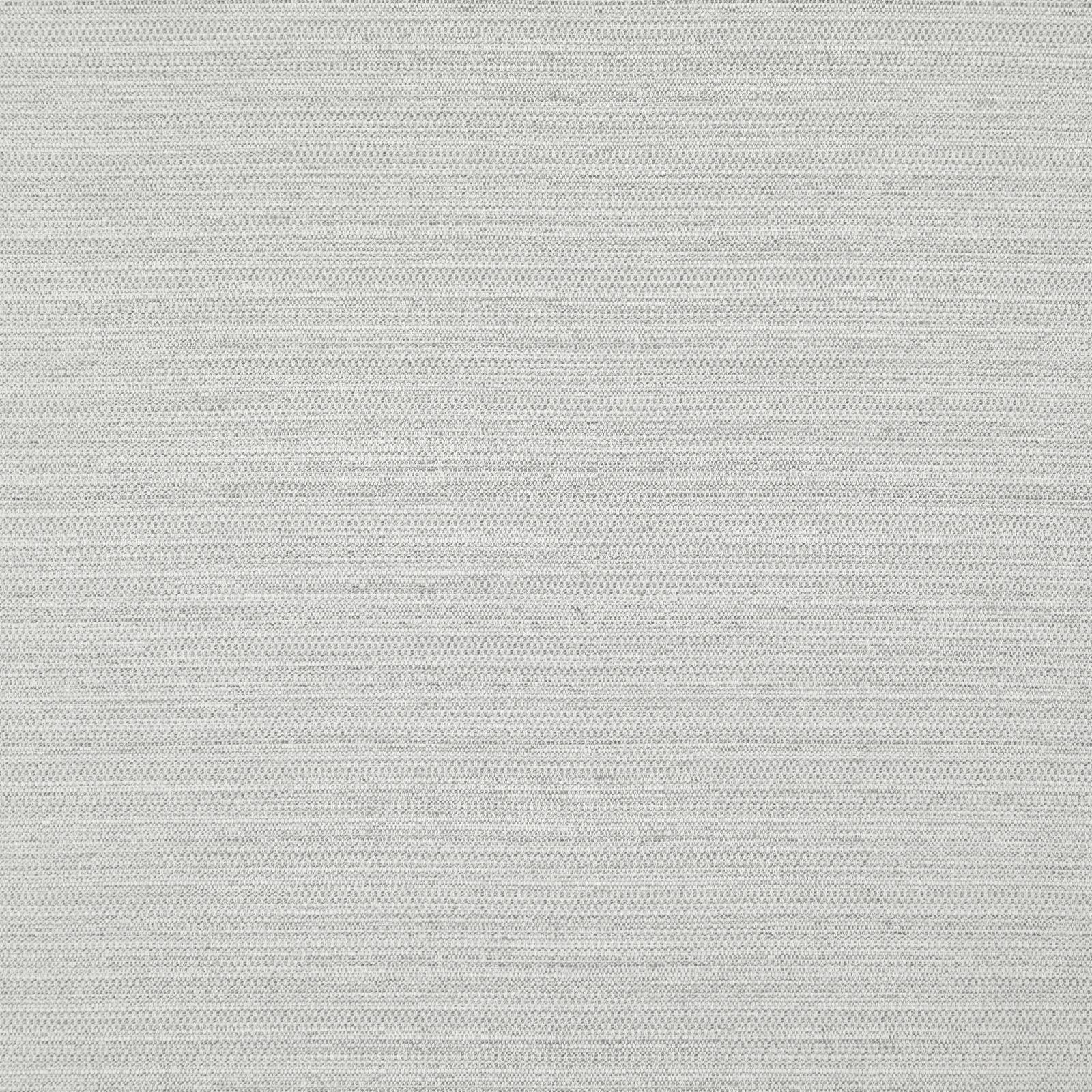DARWIN – # 703 SILVER