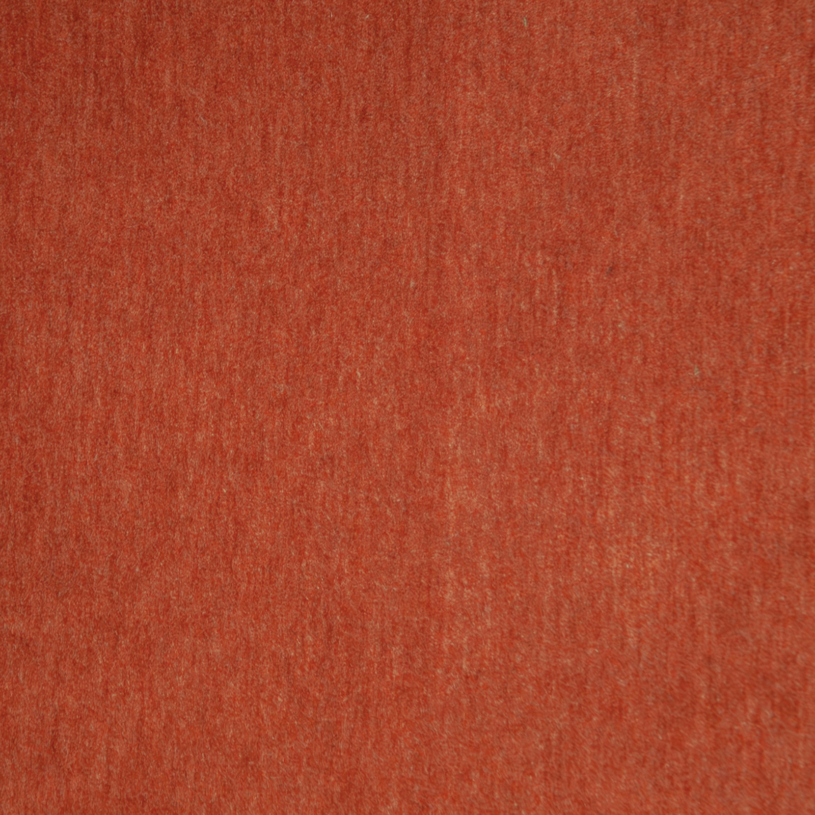 BELLUNO – # 110 BLOOD ORANGE