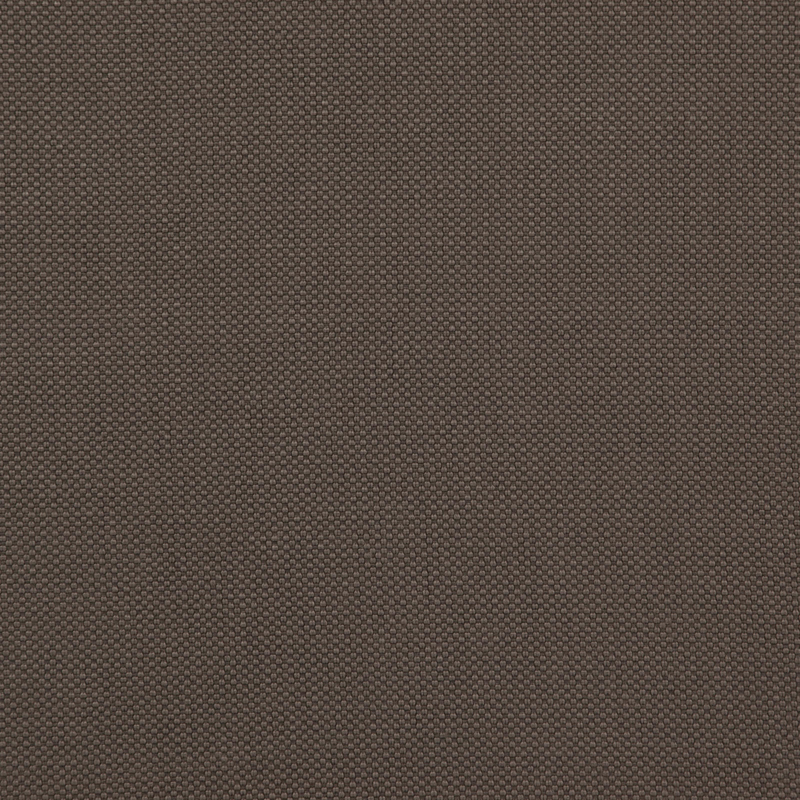 TESSERACT – # 19 FOSSIL