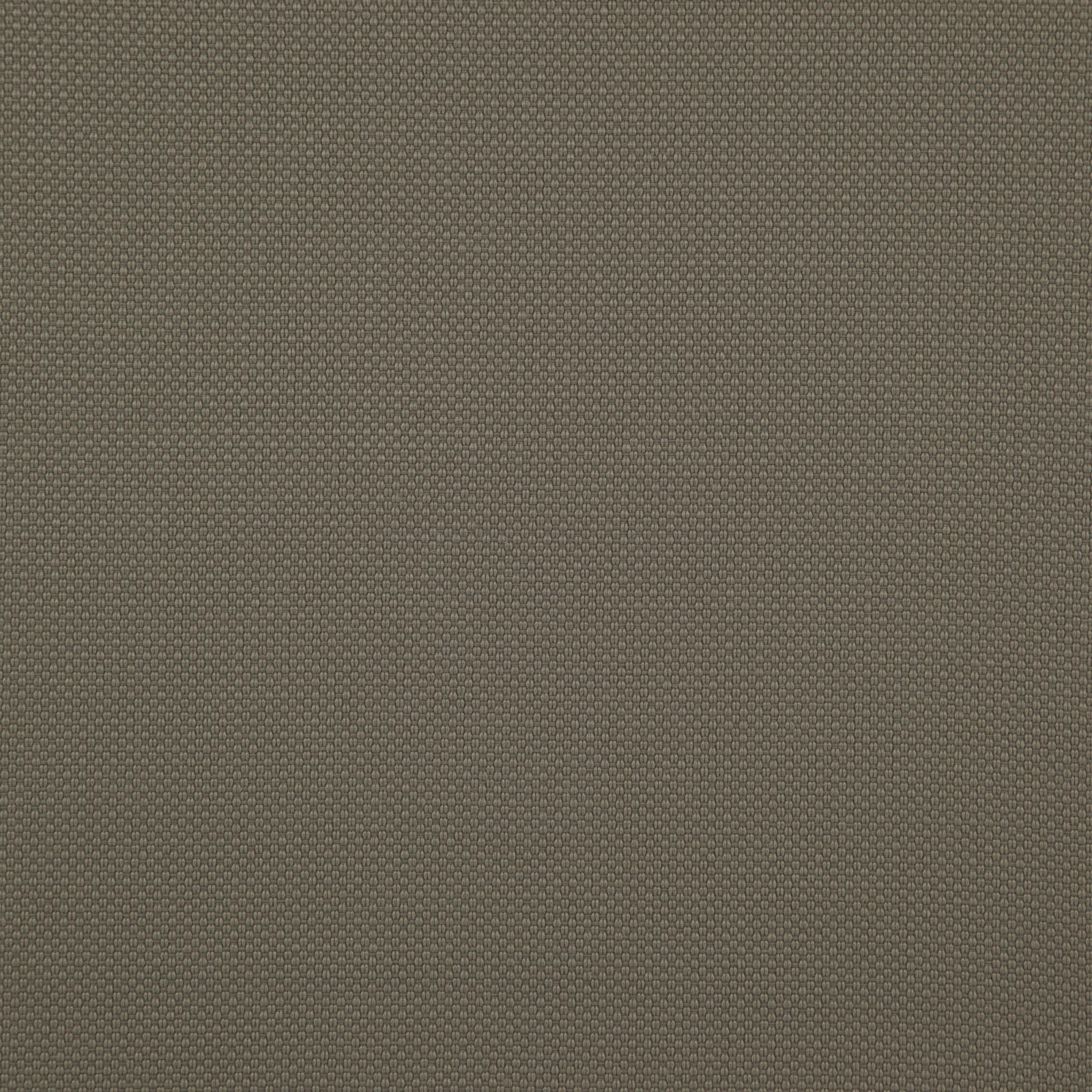 TESSERACT – # 03 TRUFFLE