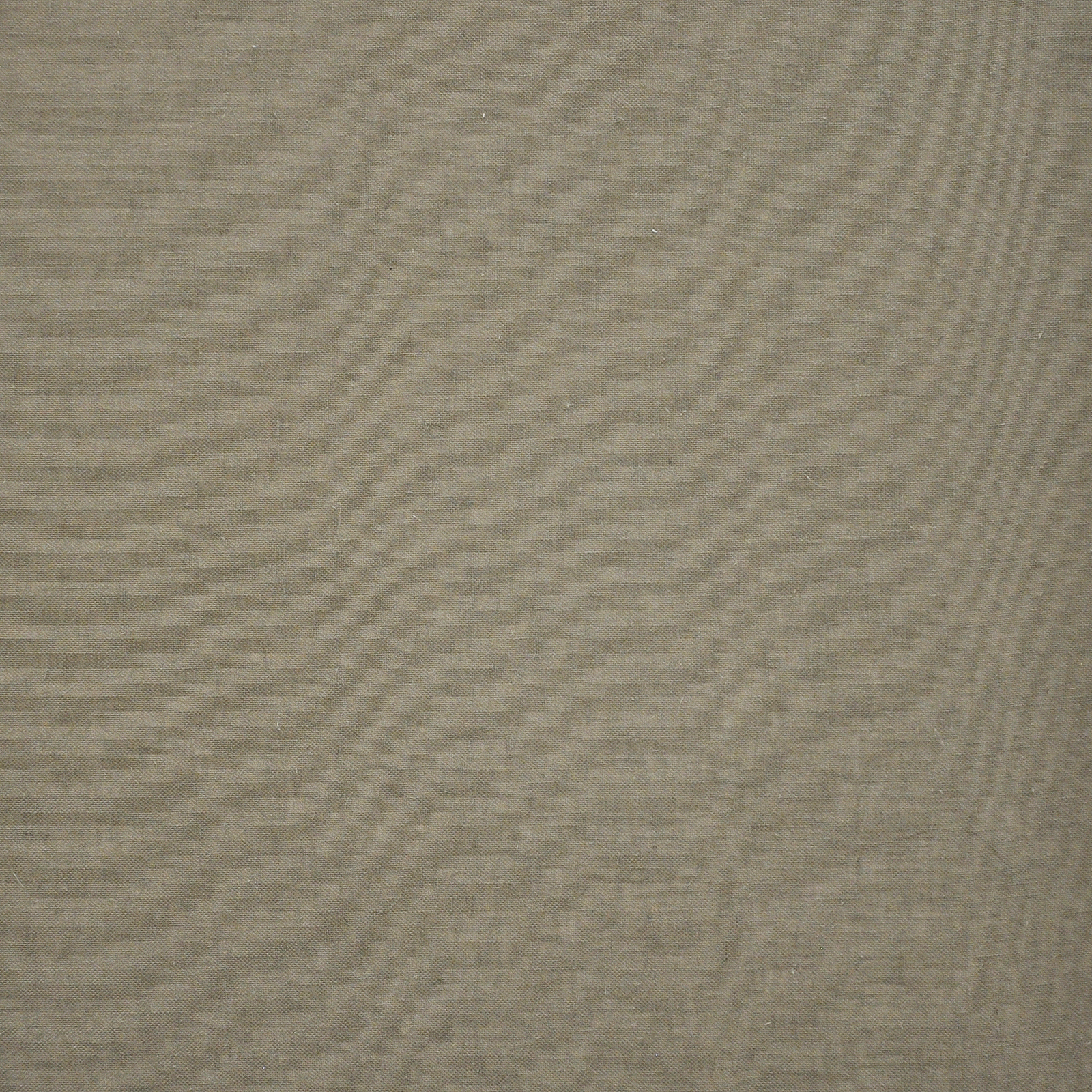 ELLIOT – # 933 FOSSIL
