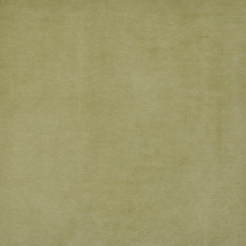 SNUG – # 421 OLIVE
