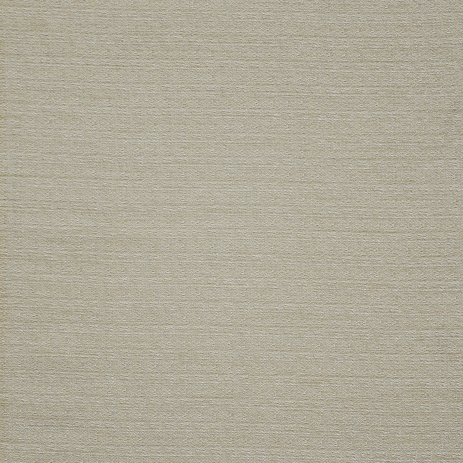 STEFANO – # 117 EUCALYPTUS