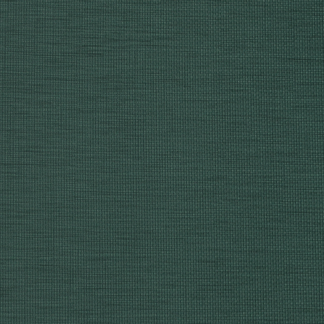 CINEMA – # 745 SPRUCE