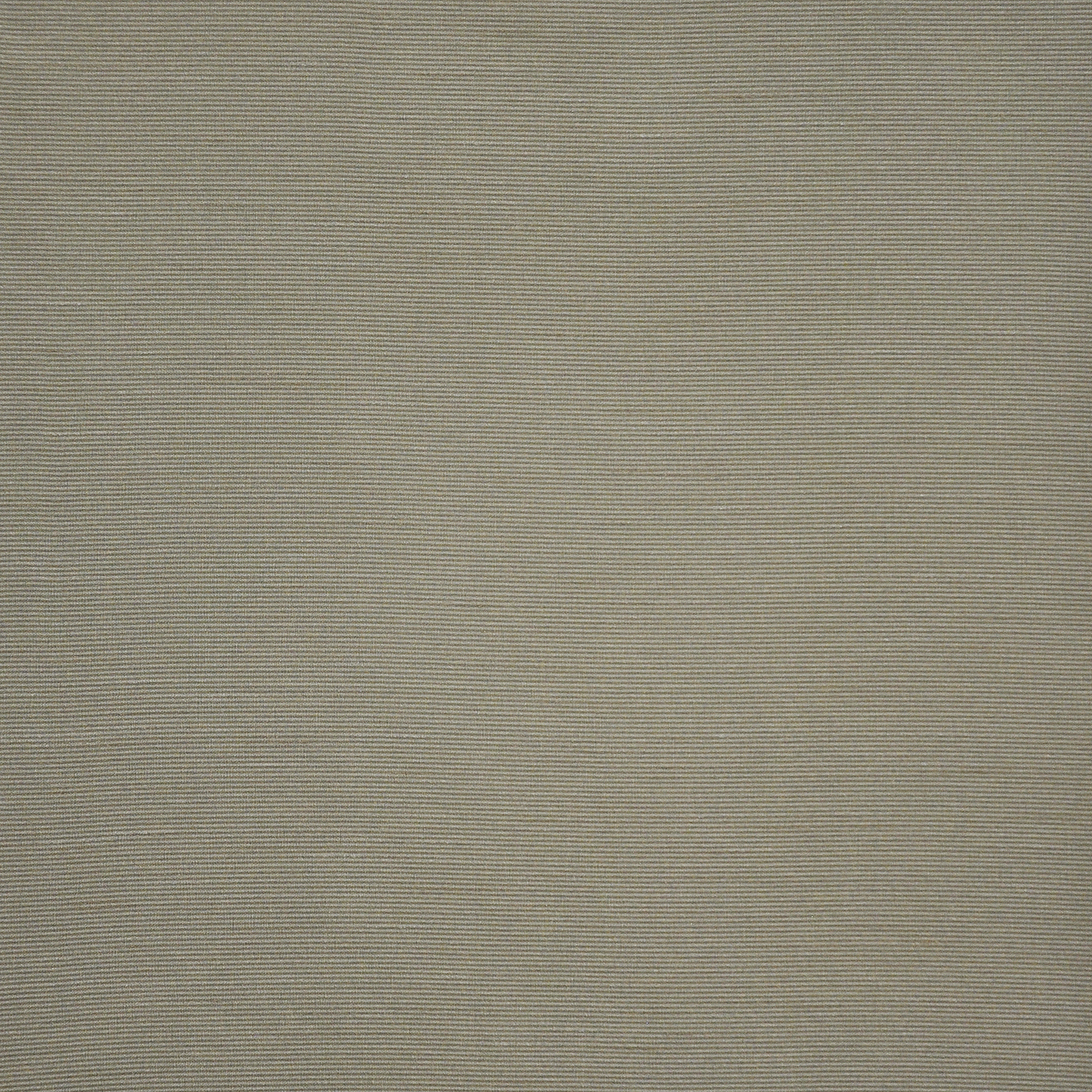 APOLLONIA – # 576 IVY