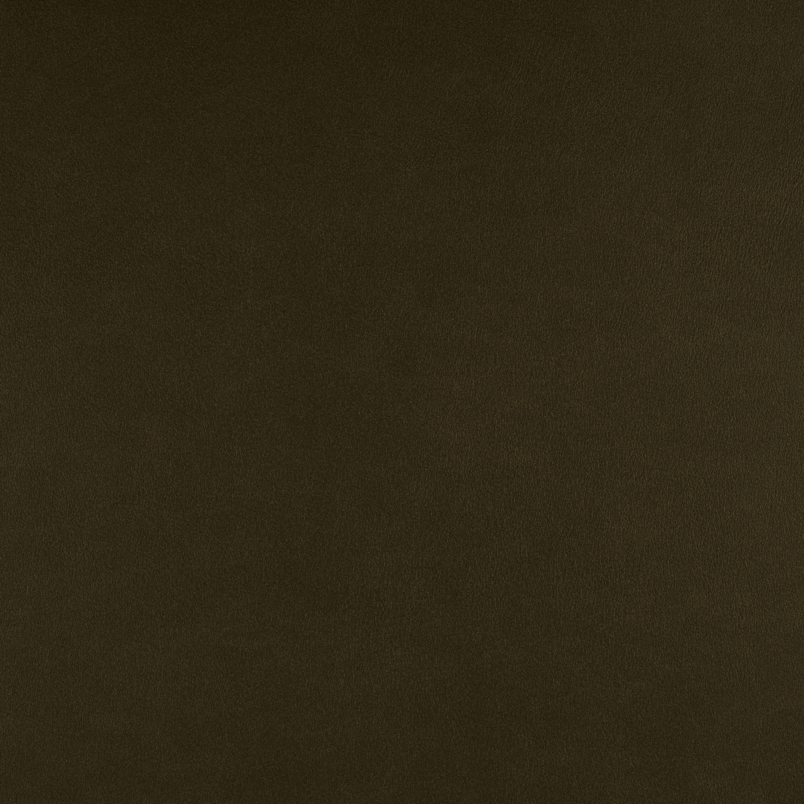 ICON – # 722 CORTADO