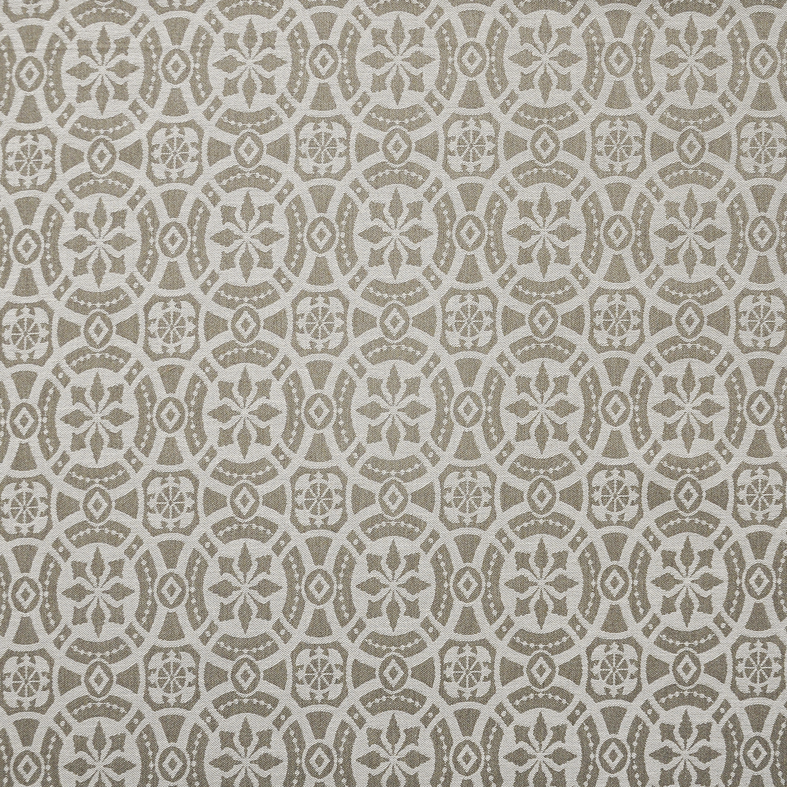 WHEELHOUSE – # 439 FOSSIL